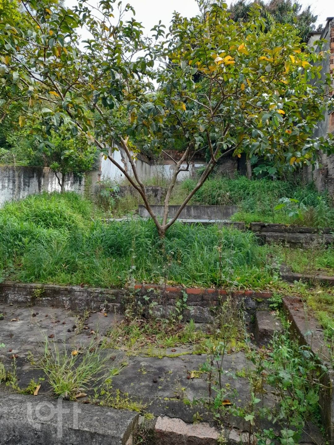 Imagem da propriedade 16