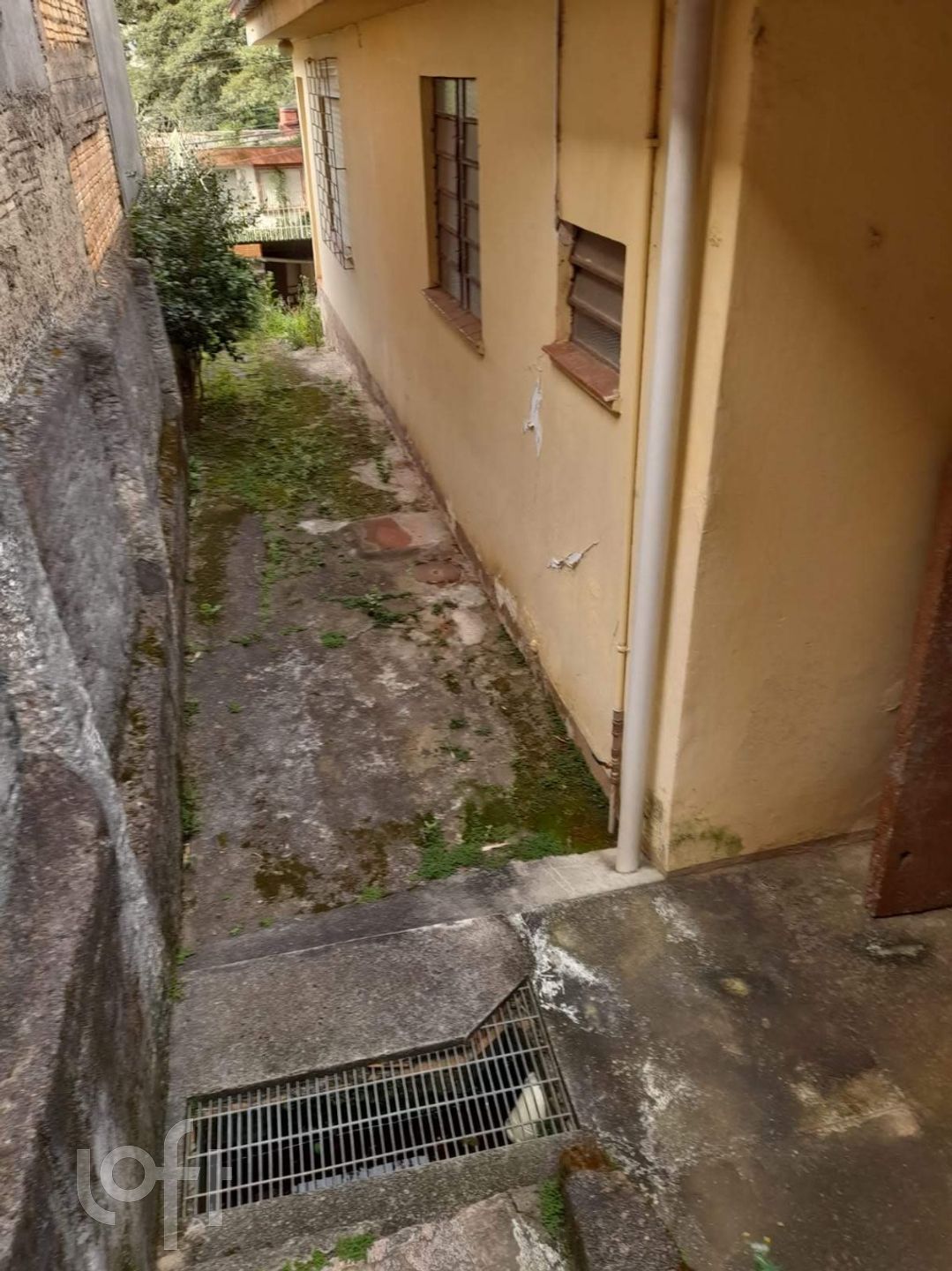 Imagem da propriedade 12