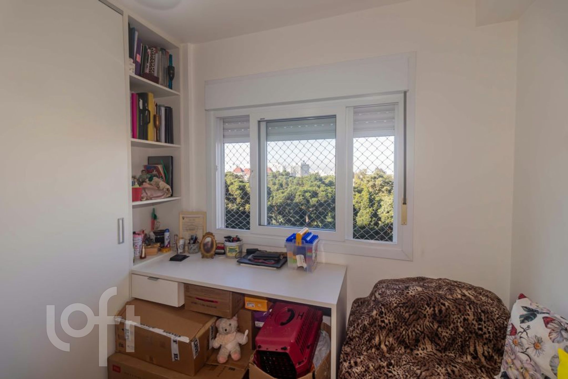 Imagem da propriedade 12