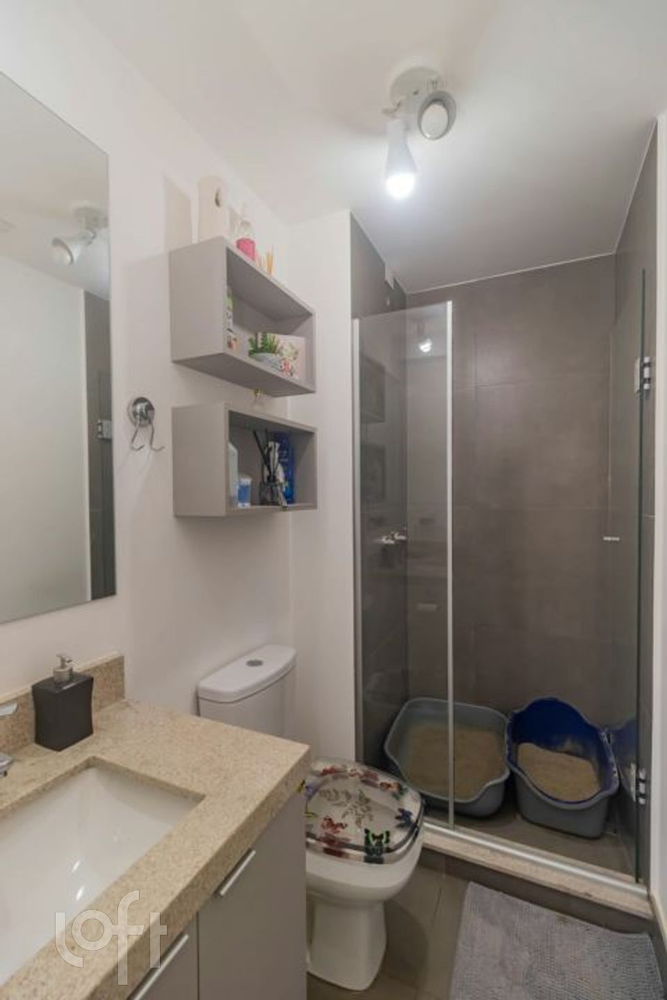 Imagem da propriedade 8