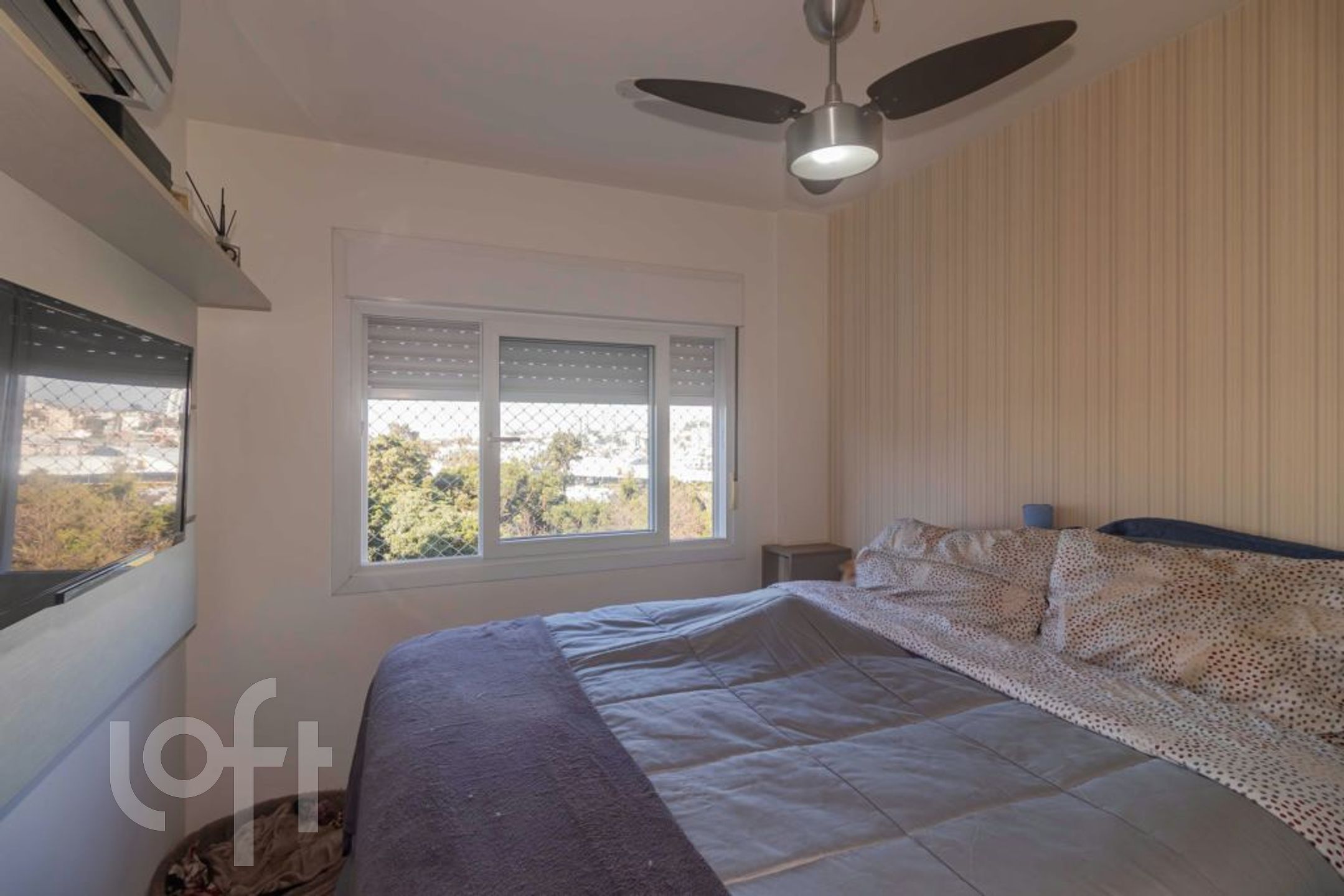 Imagem da propriedade 15