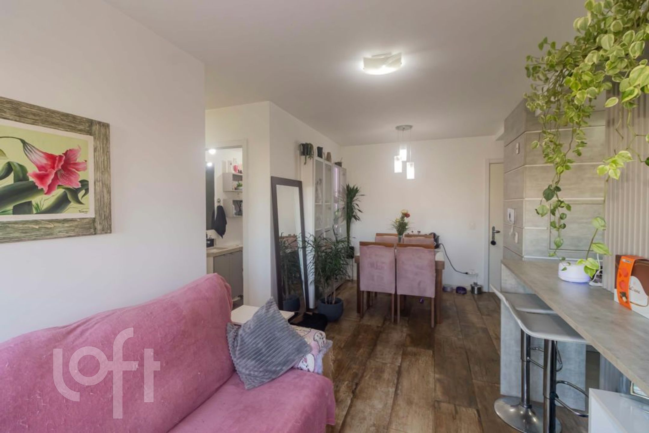 Imagem da propriedade 5