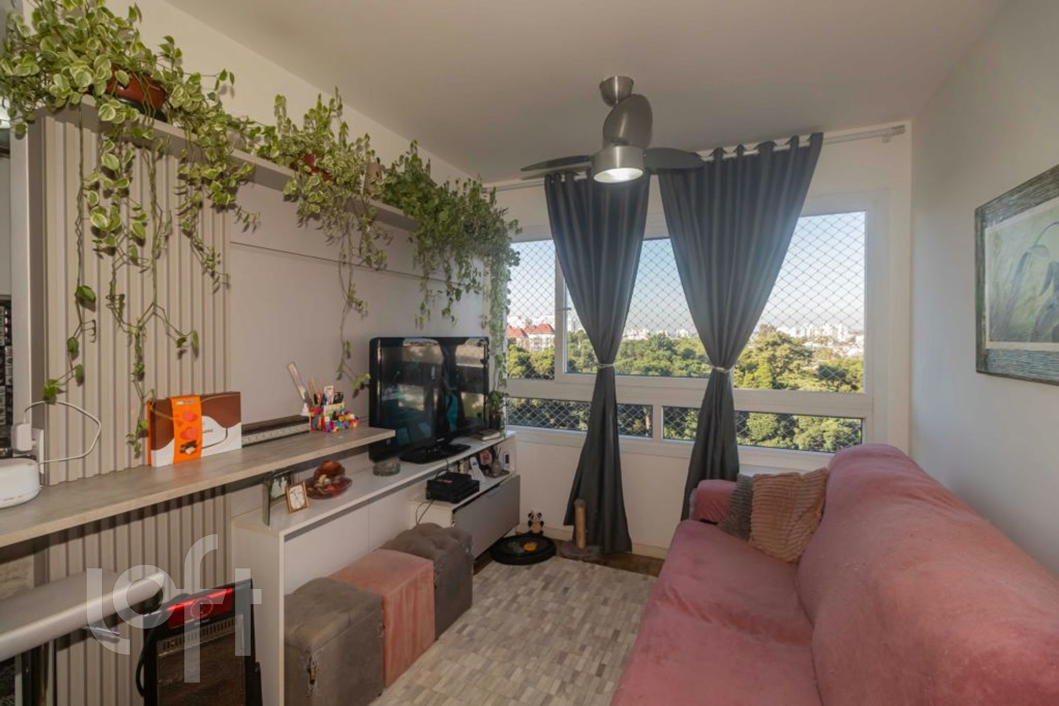 Imagem da propriedade 2