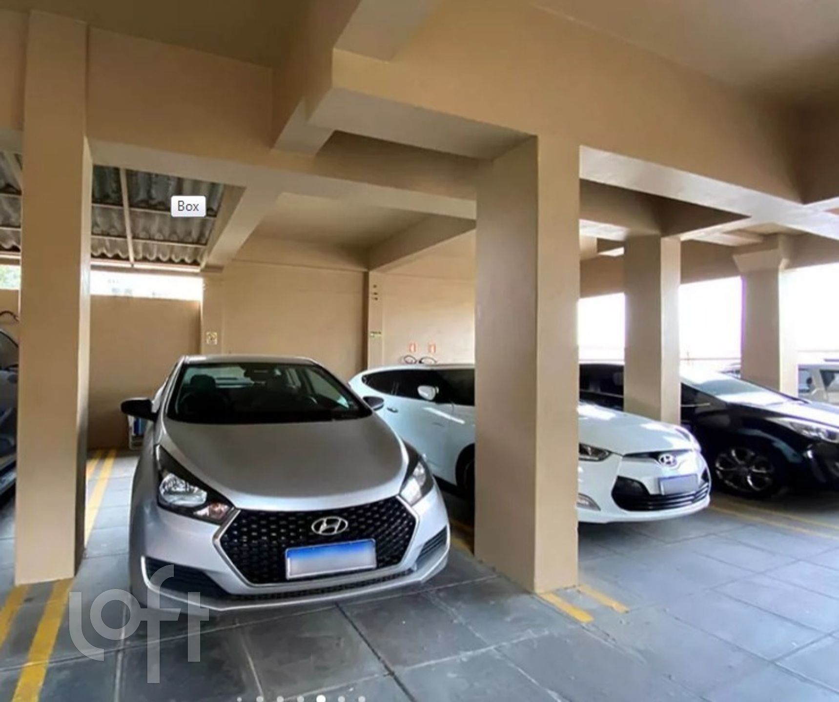 Imagem da propriedade 11