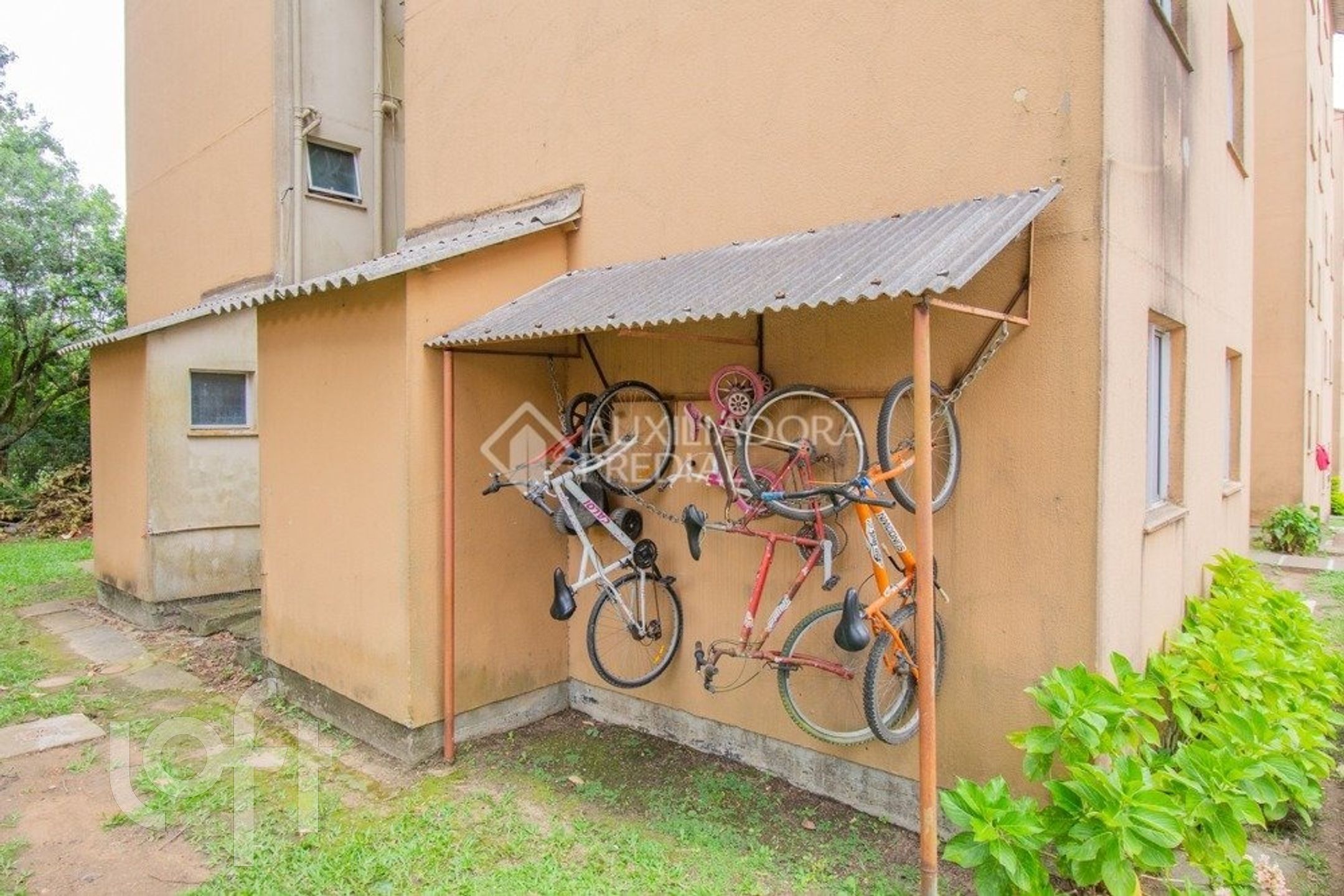 Imagem da propriedade 8