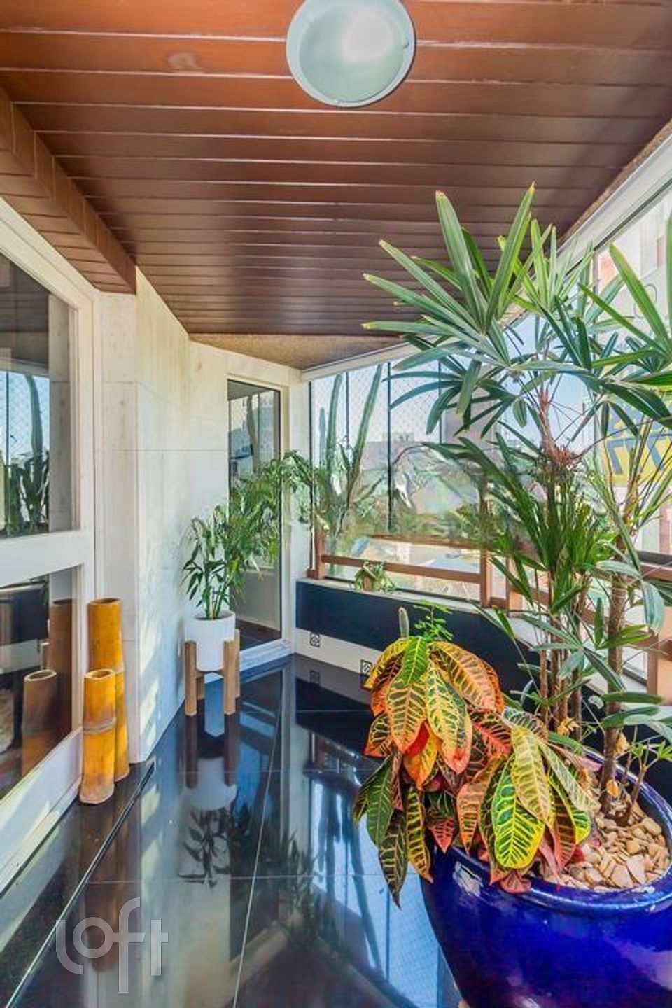 Imagem da propriedade 6