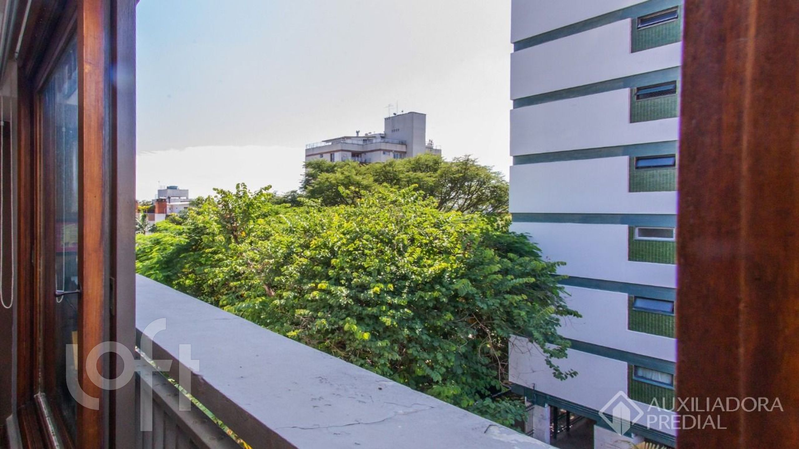 Imagem da propriedade 33