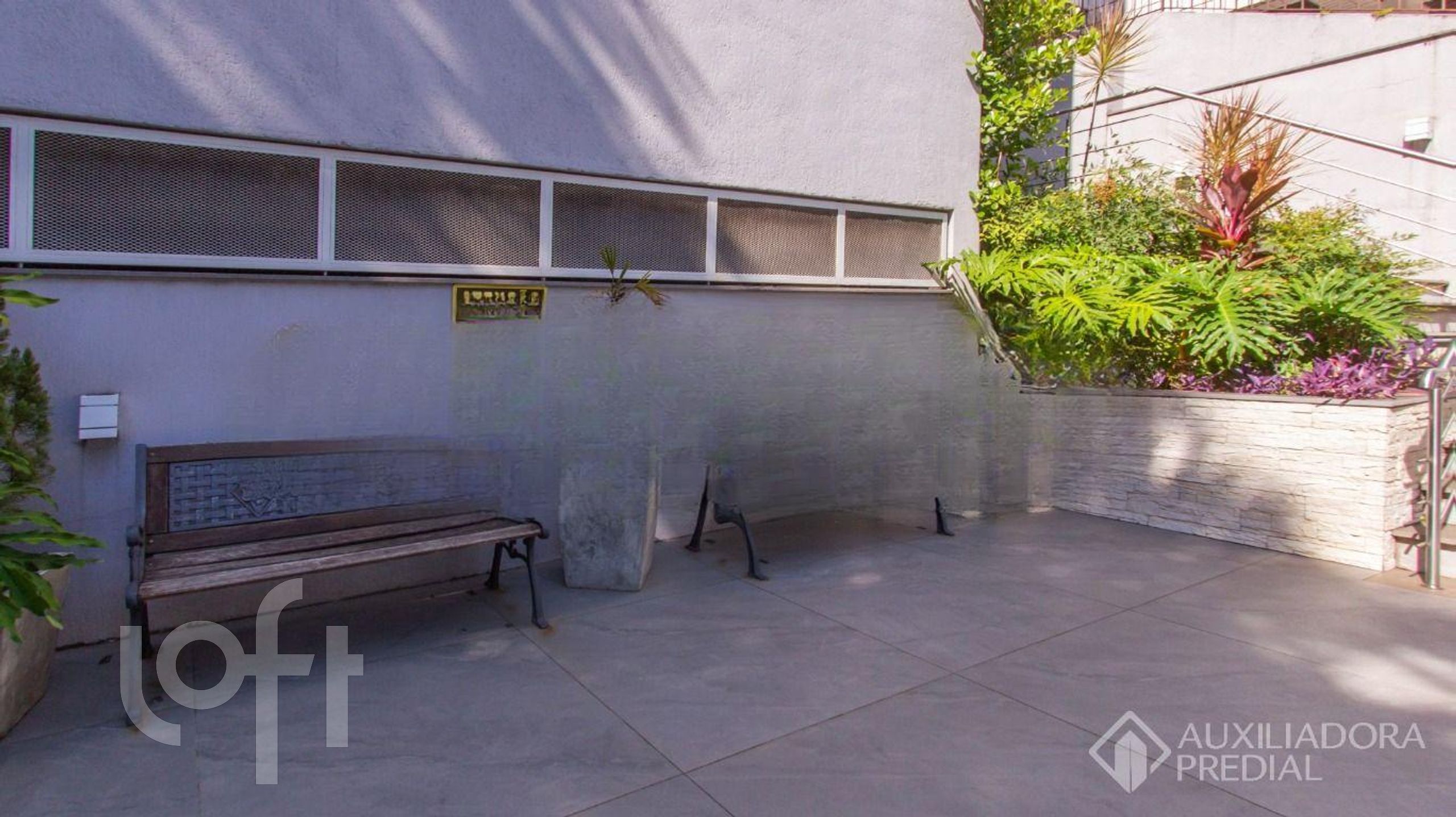 Imagem da propriedade 3