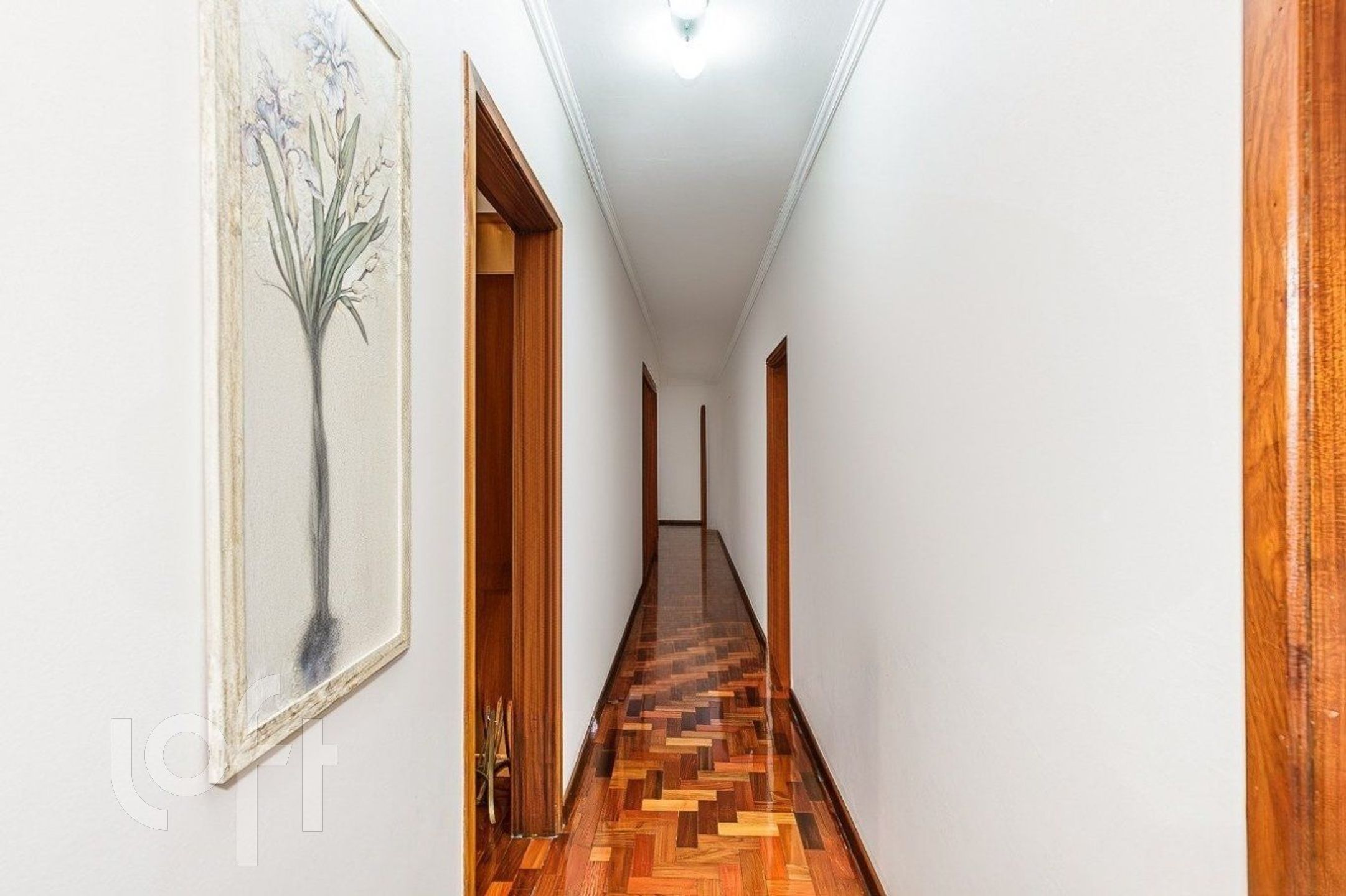 Imagem da propriedade 4