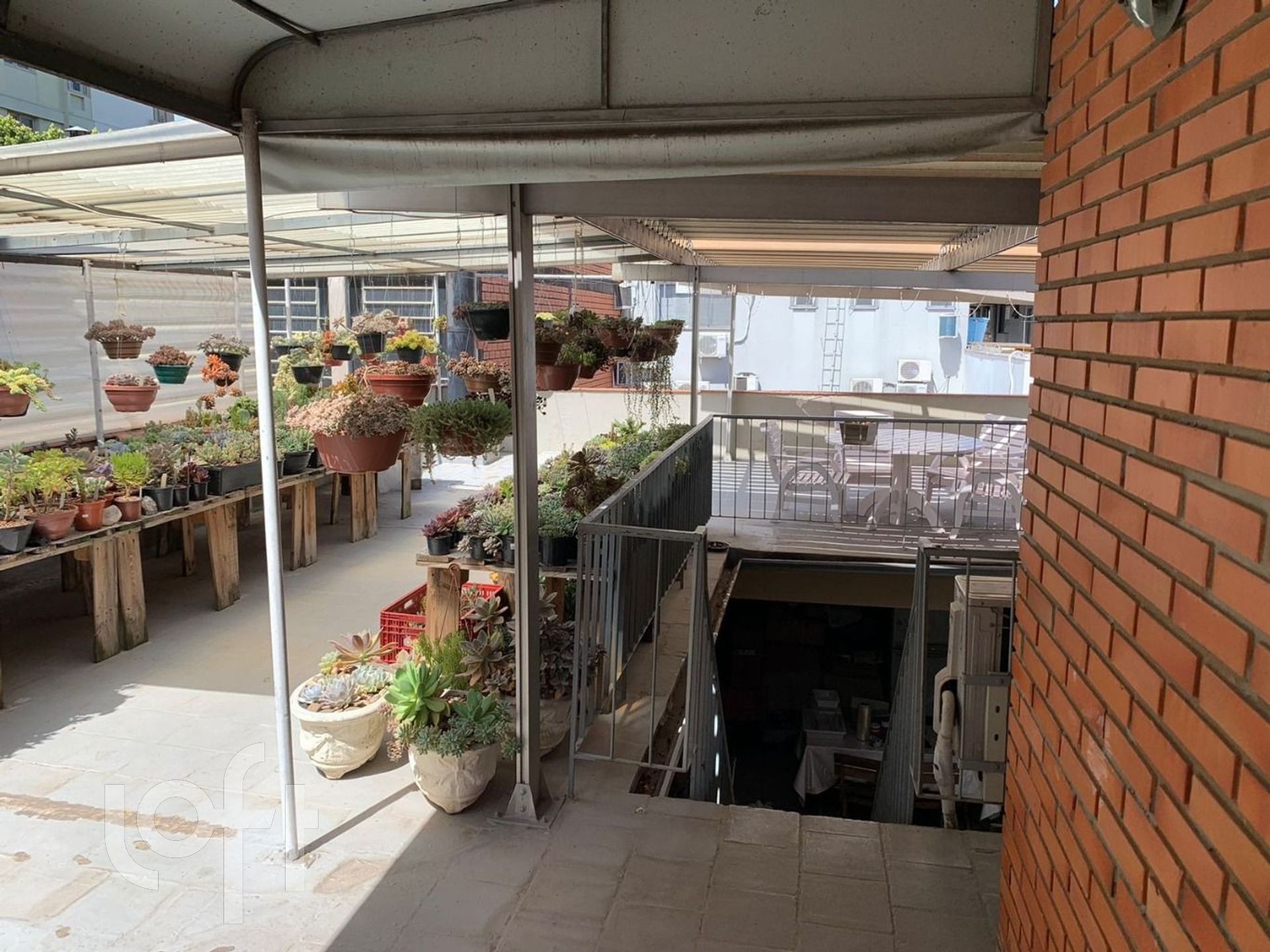 Imagem da propriedade 12