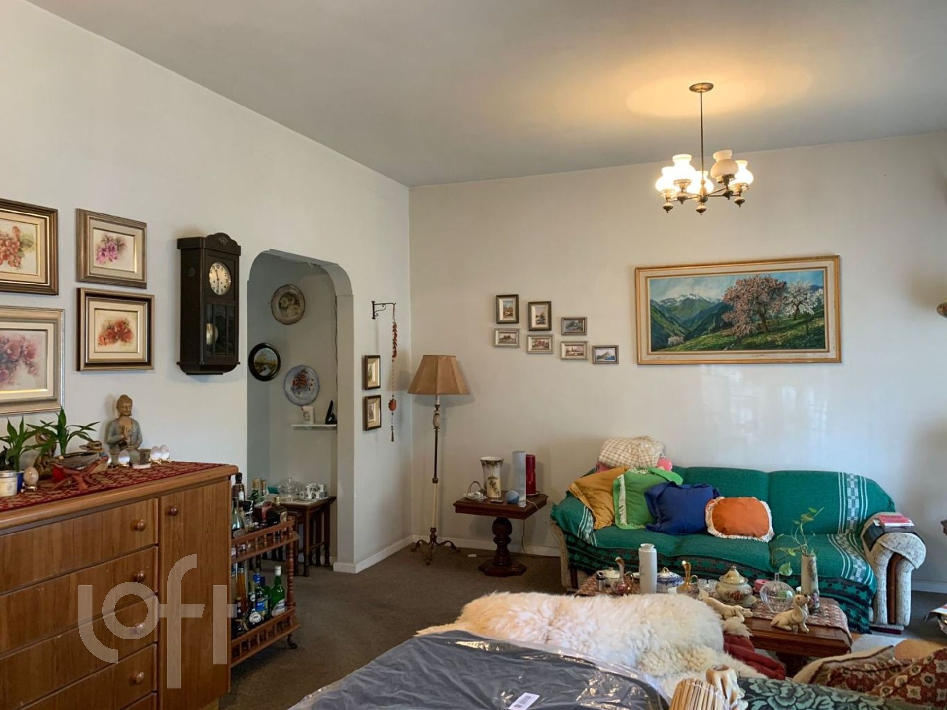 Imagem da propriedade 4