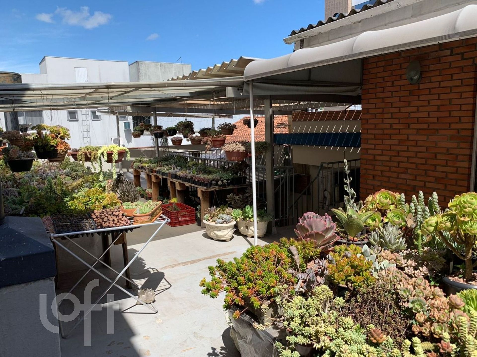 Imagem da propriedade 10