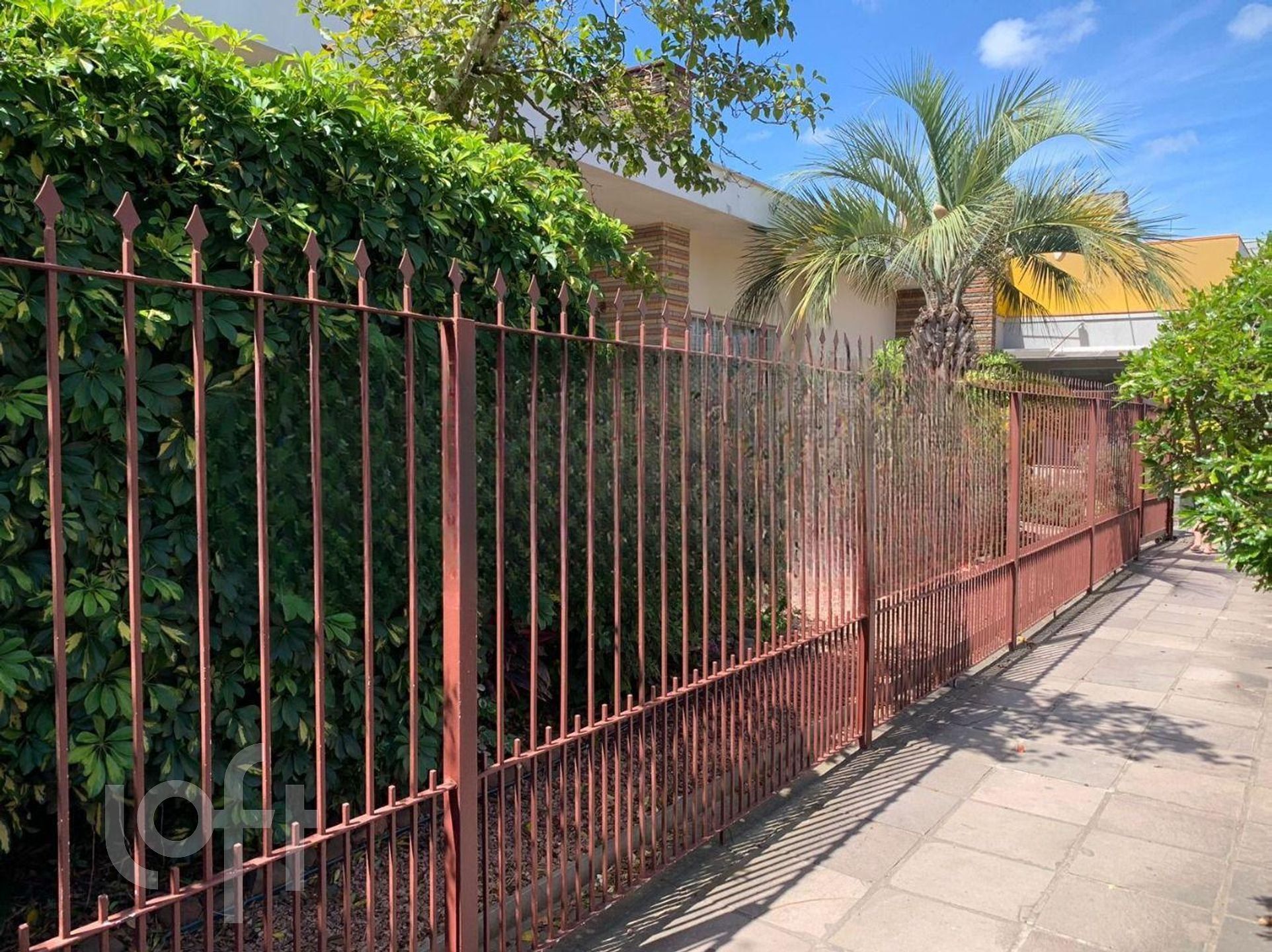 Imagem da propriedade 9