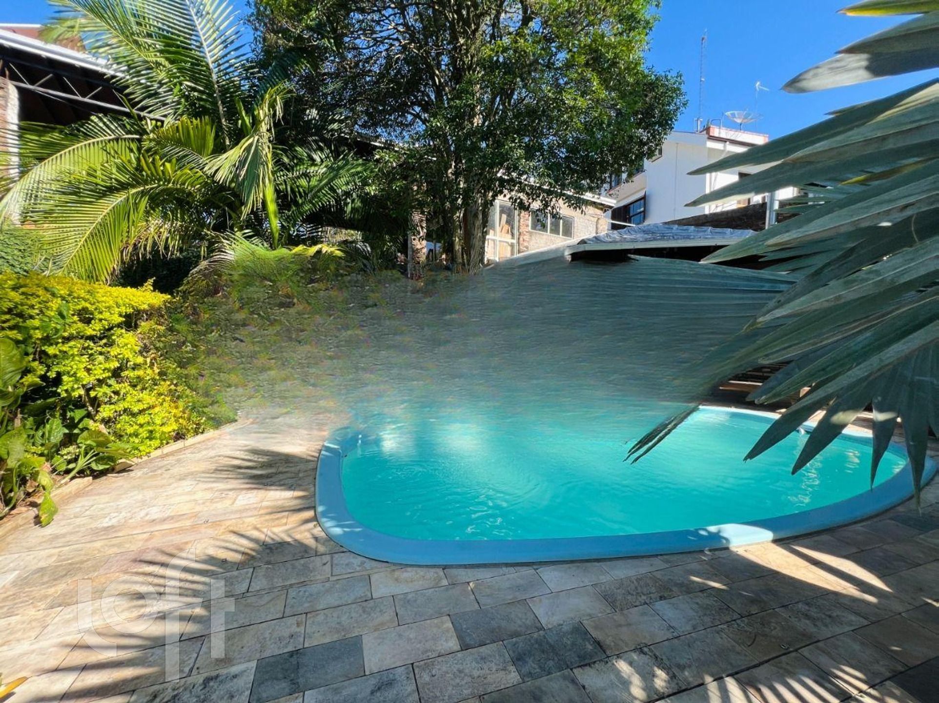 Imagem da propriedade 3