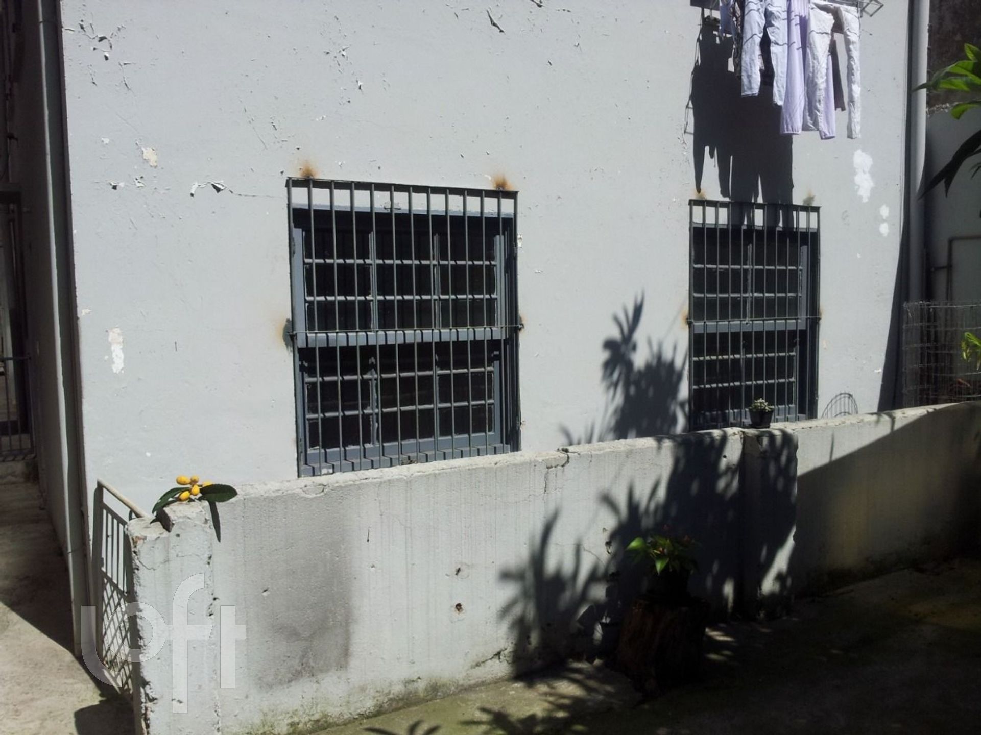 Imagem da propriedade 19