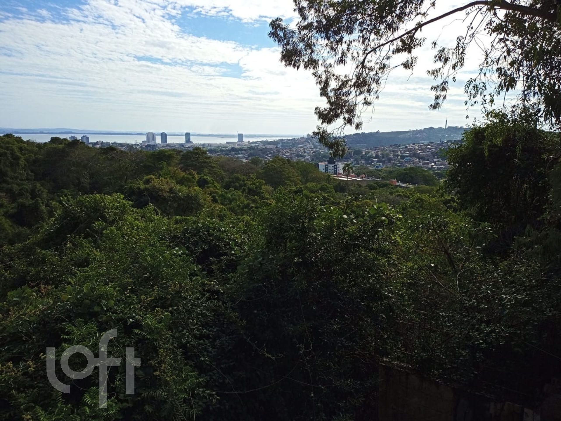 Imagem da propriedade 5