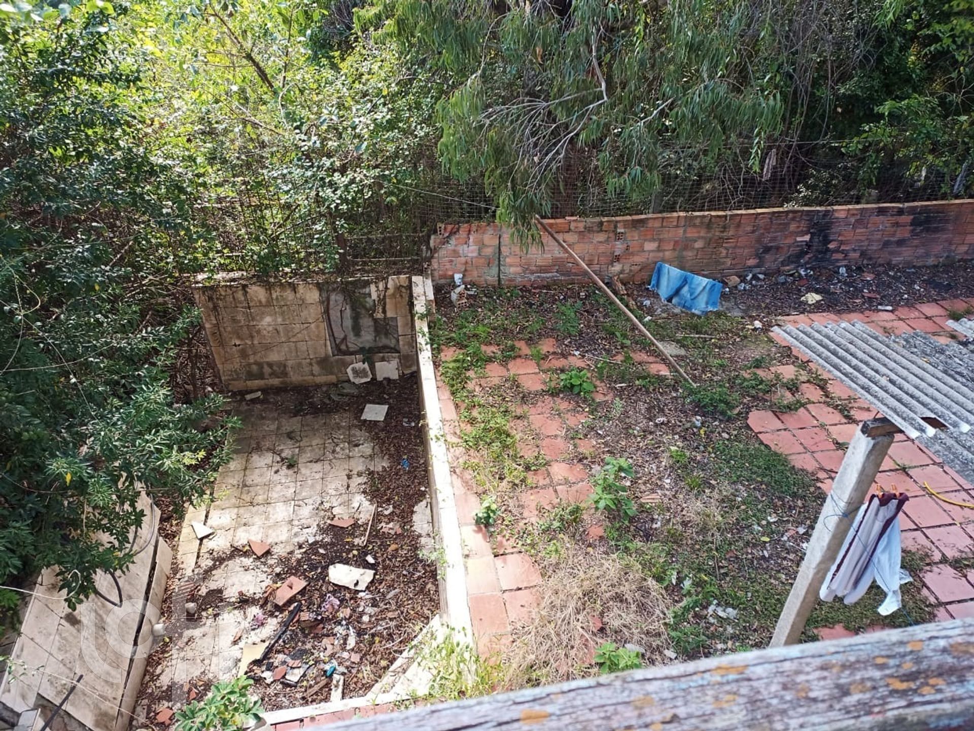 Imagem da propriedade 17