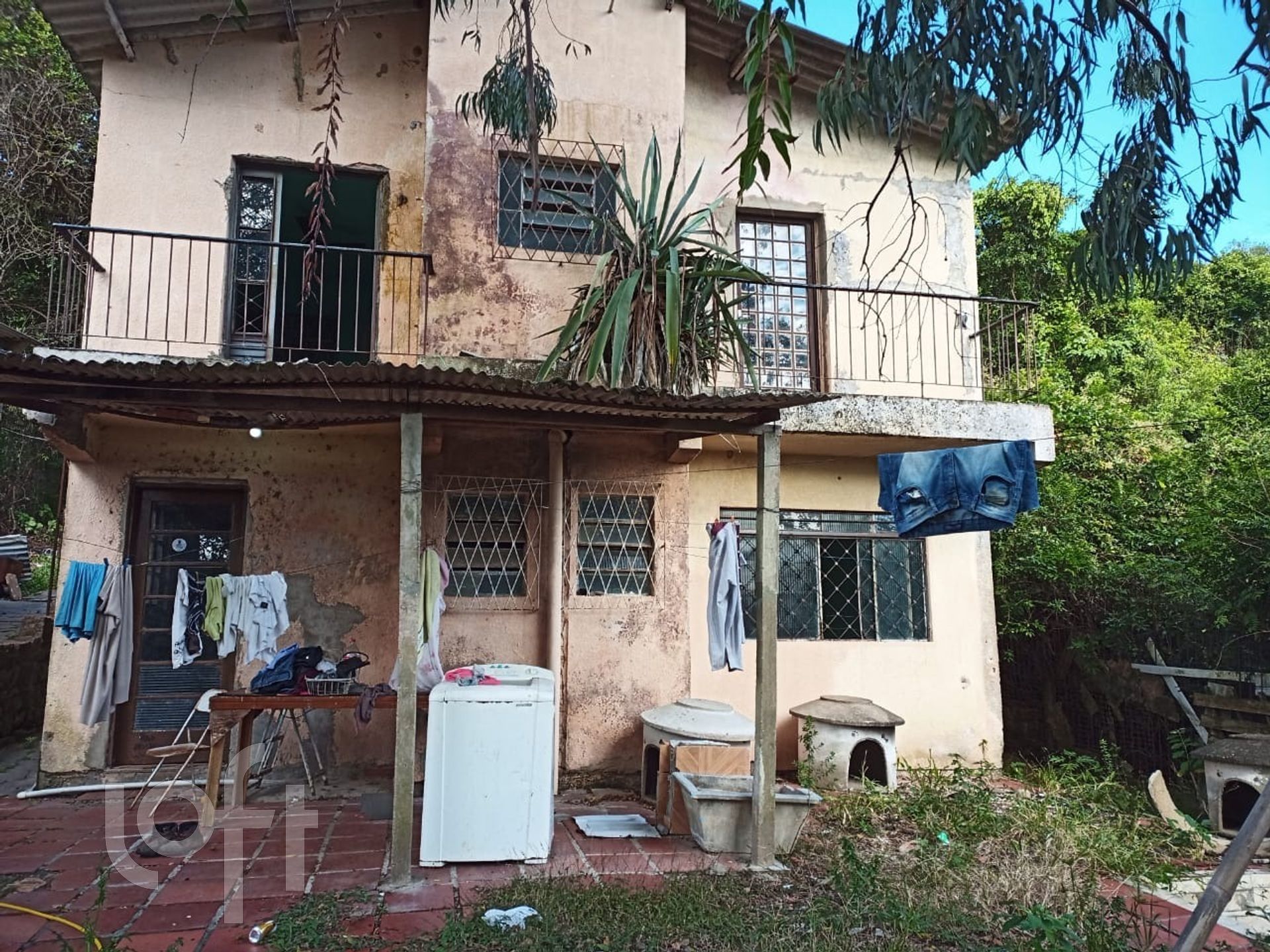 Imagem da propriedade 6