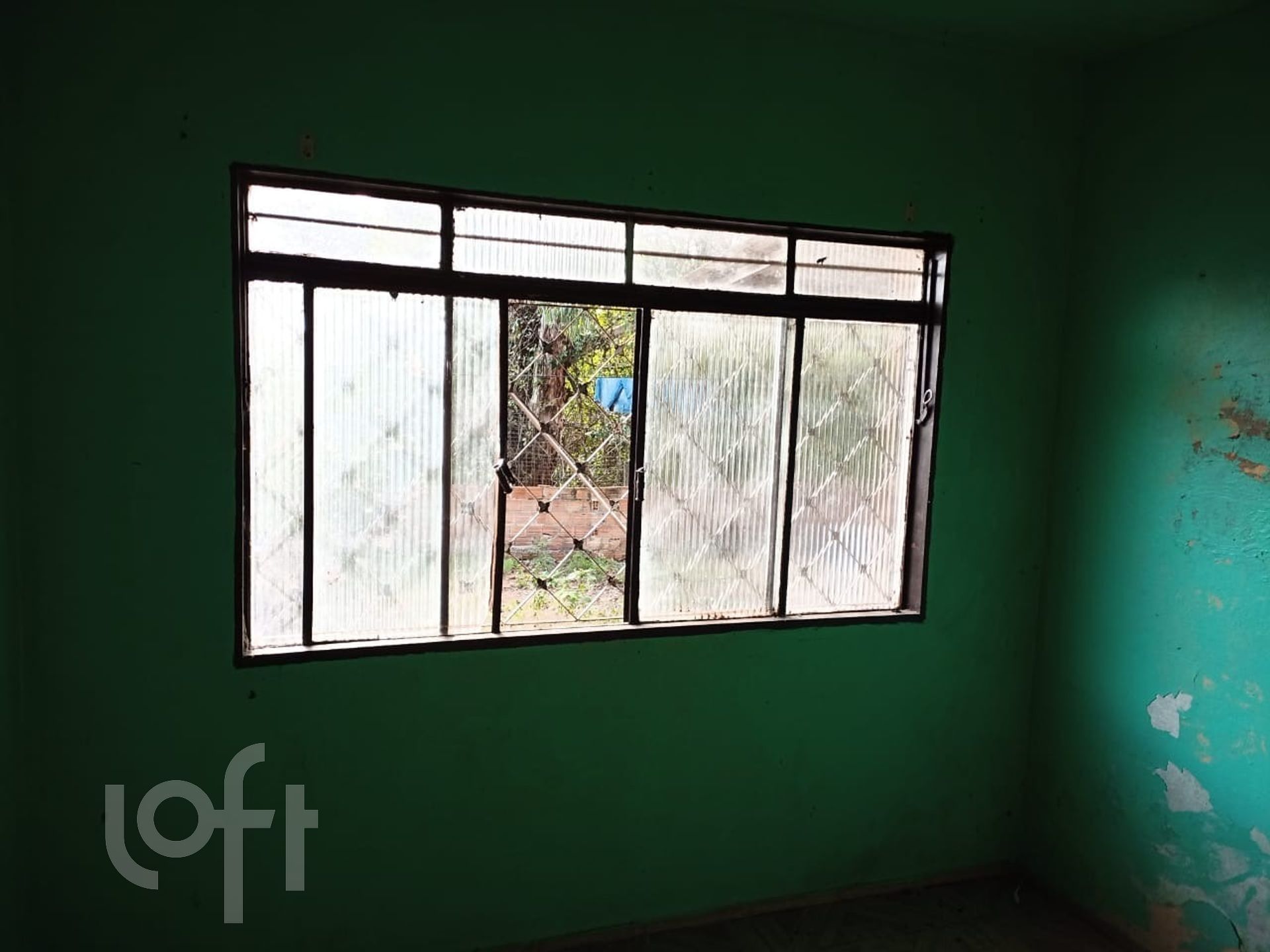 Imagem da propriedade 15