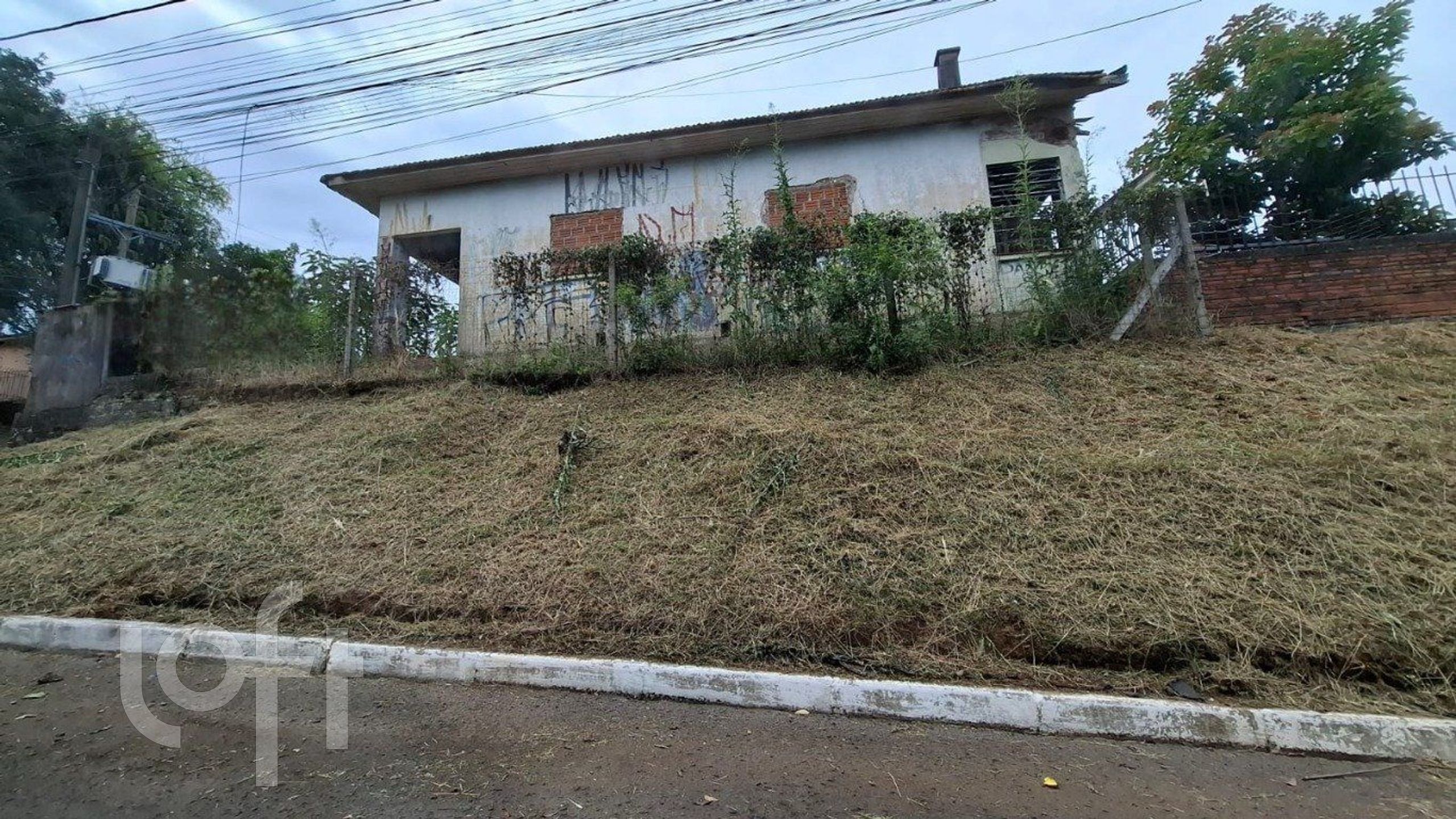 Imagem da propriedade 18