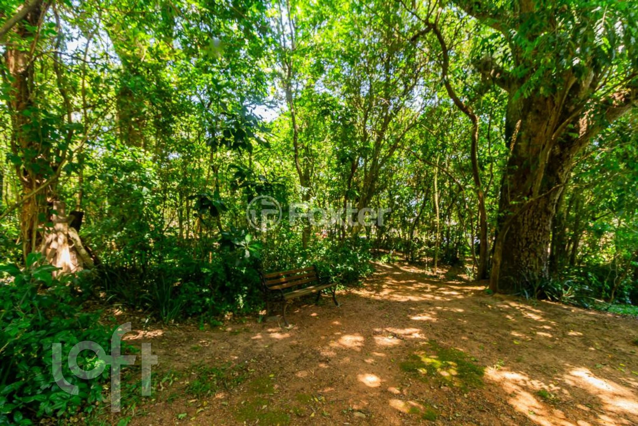 Imagem da propriedade 67