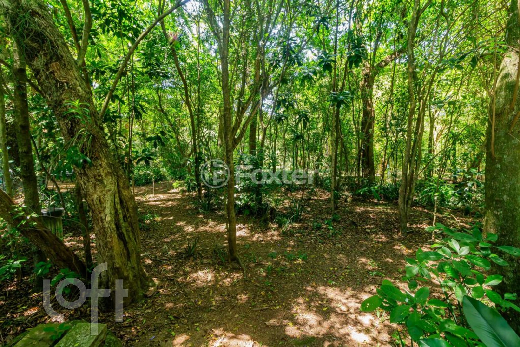 Imagem da propriedade 66