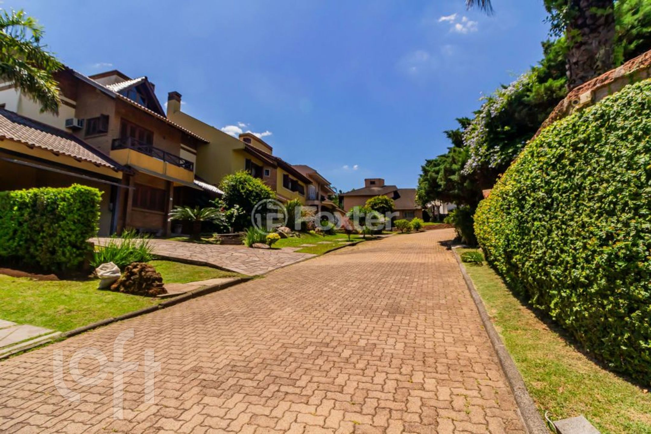 Imagem da propriedade 56