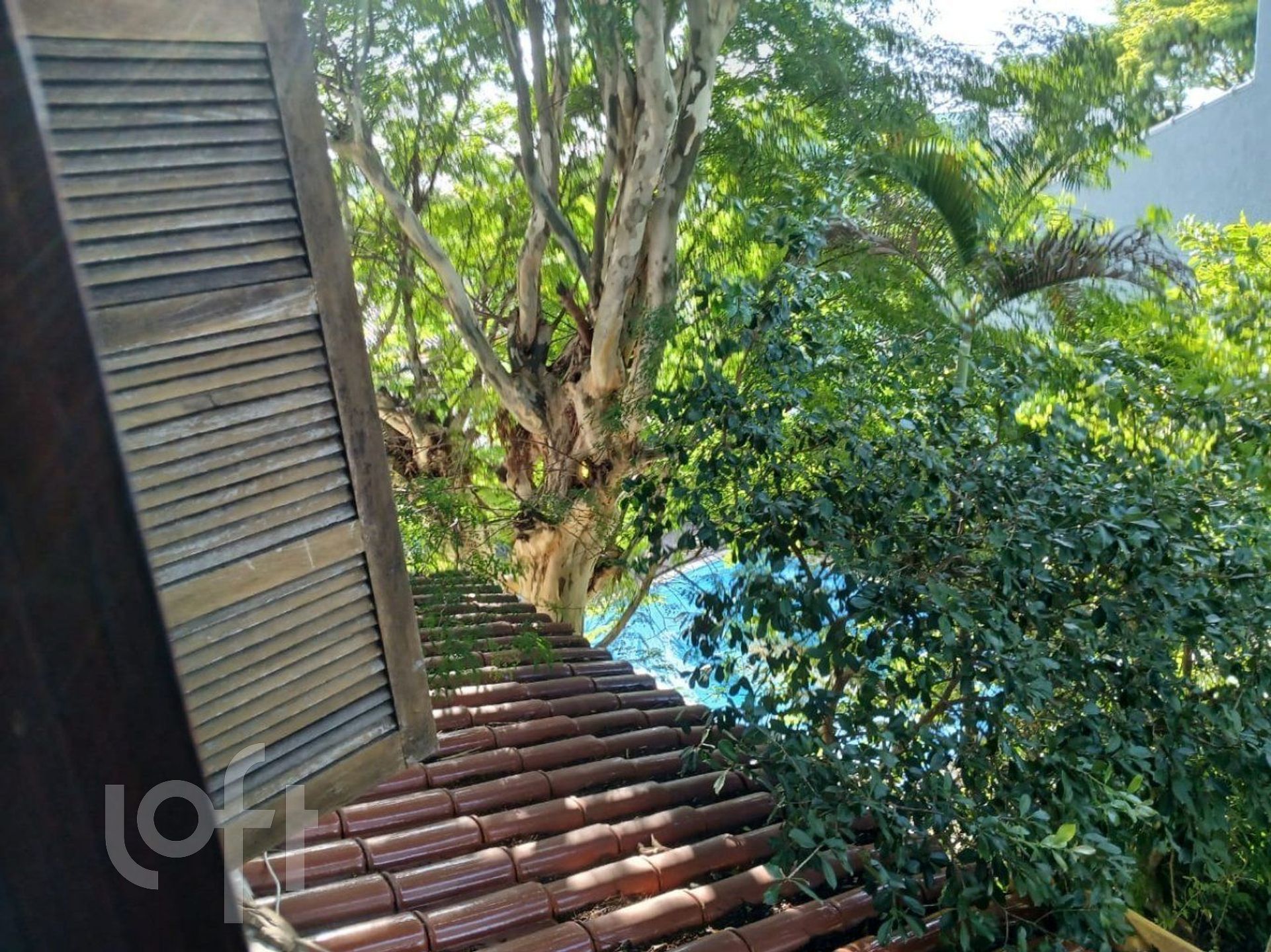 Imagem da propriedade 18