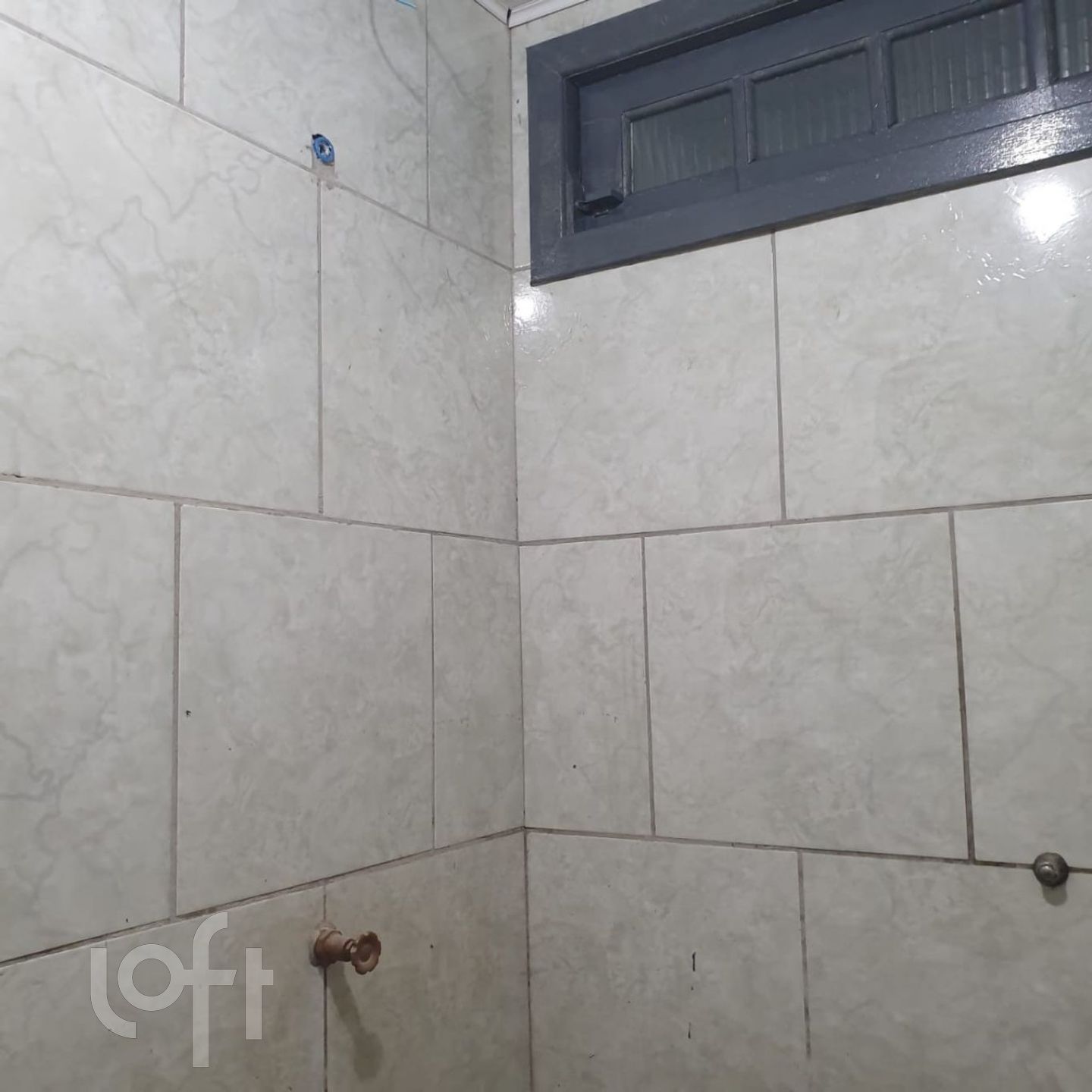 Imagem da propriedade 9