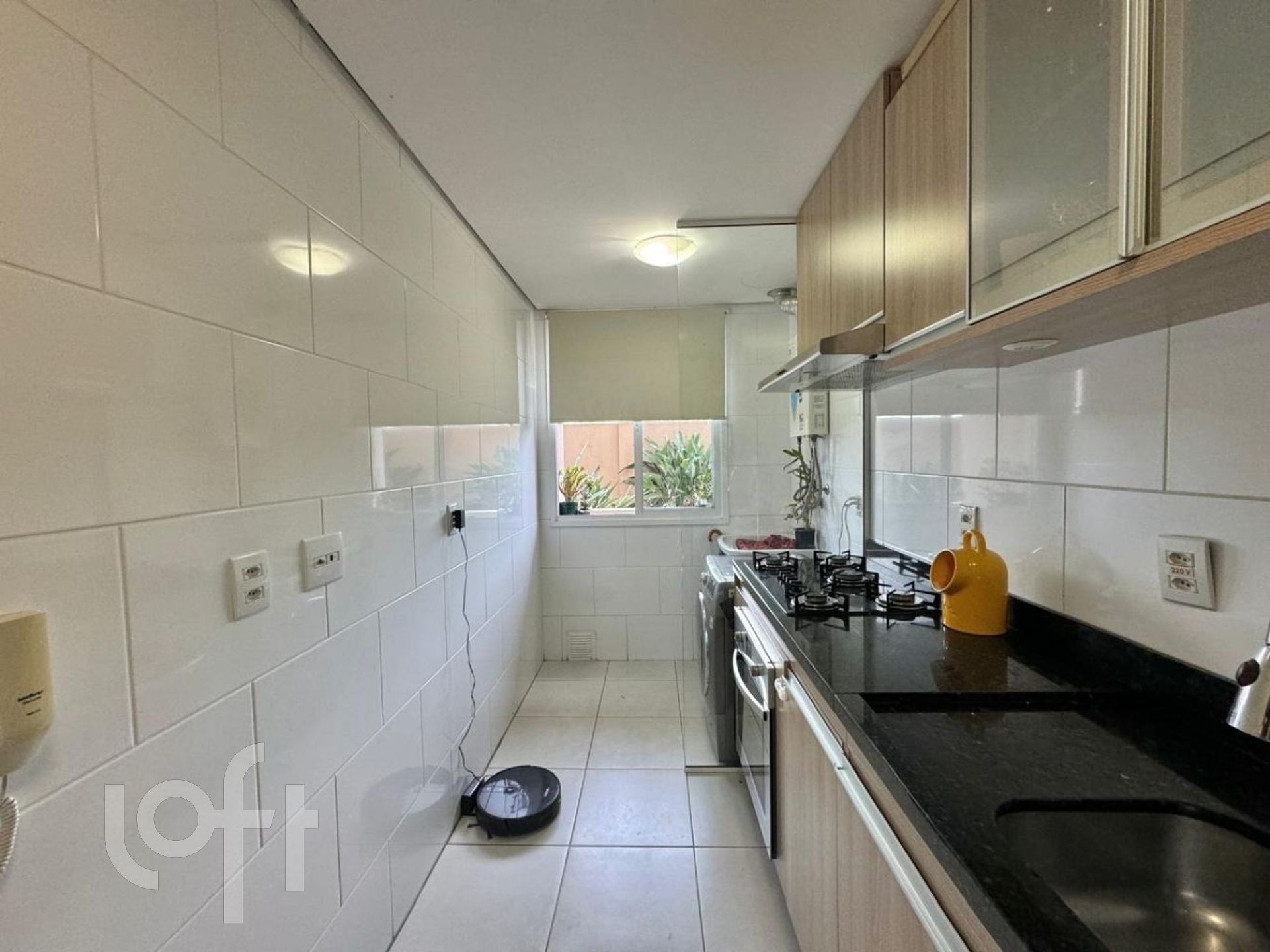 Imagem da propriedade 24