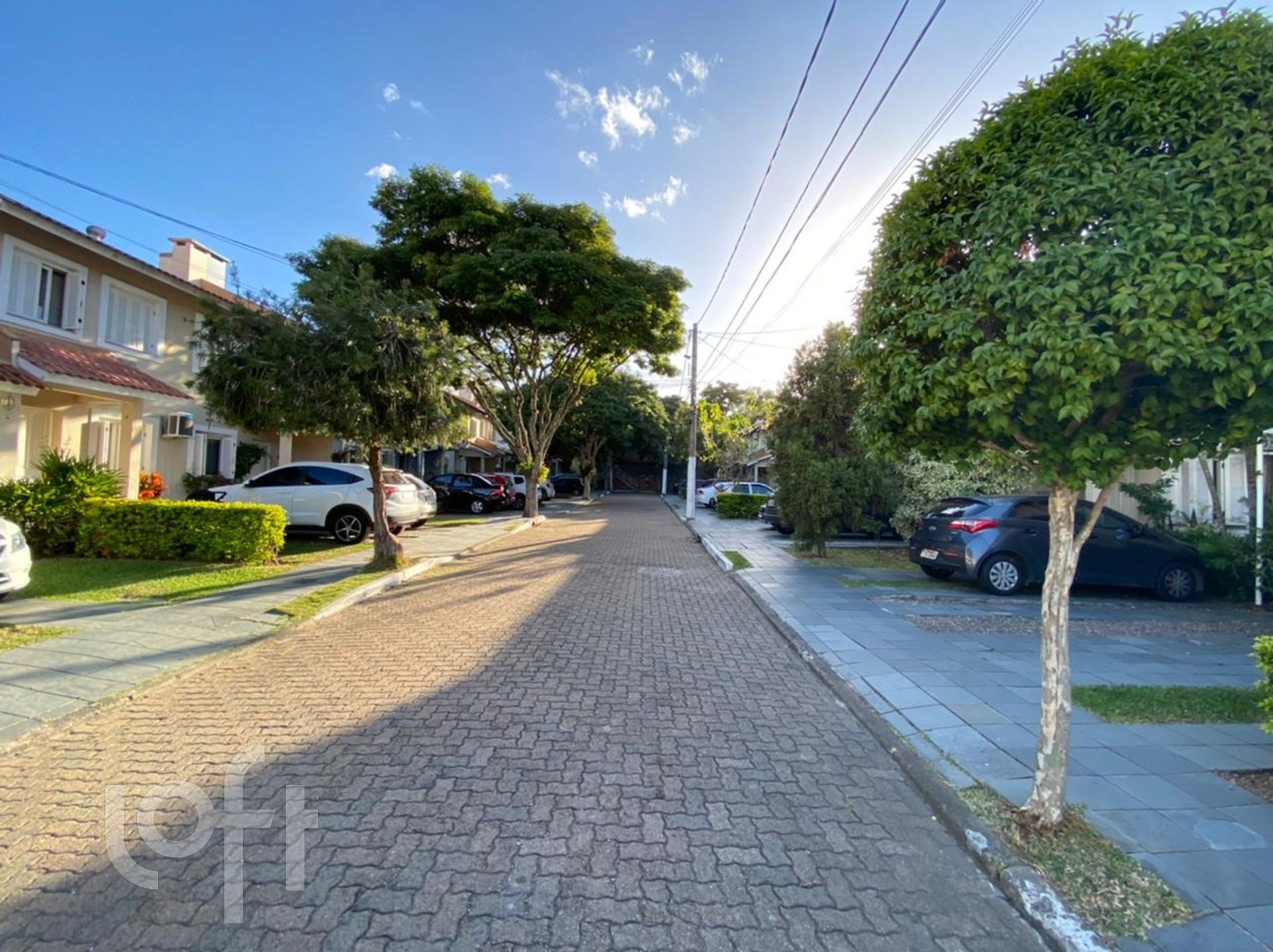 Imagem da propriedade 14