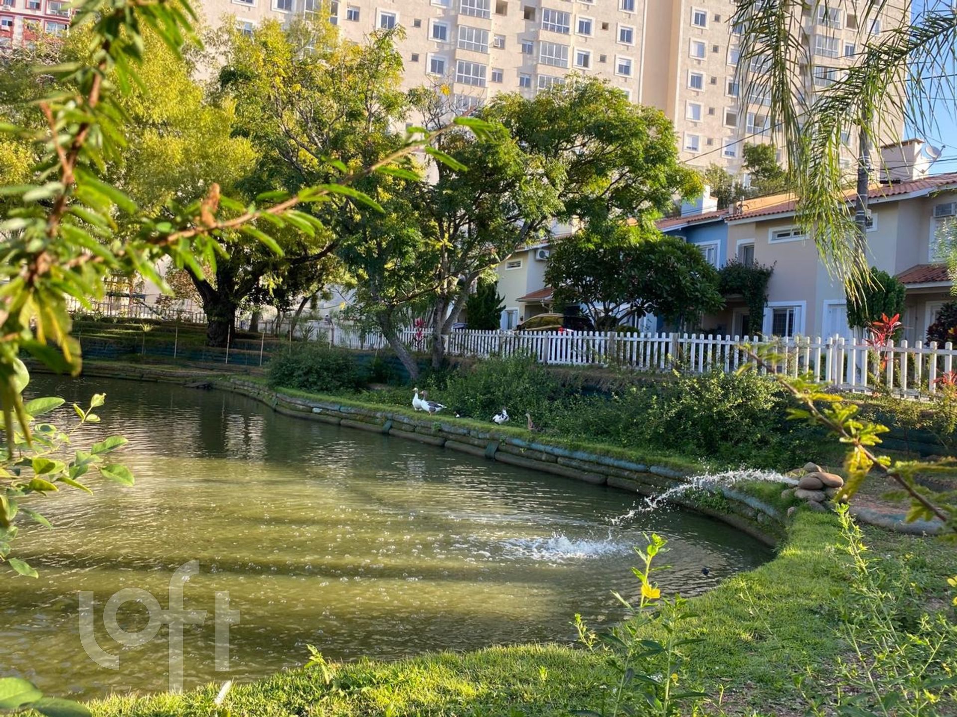 Imagem da propriedade 17