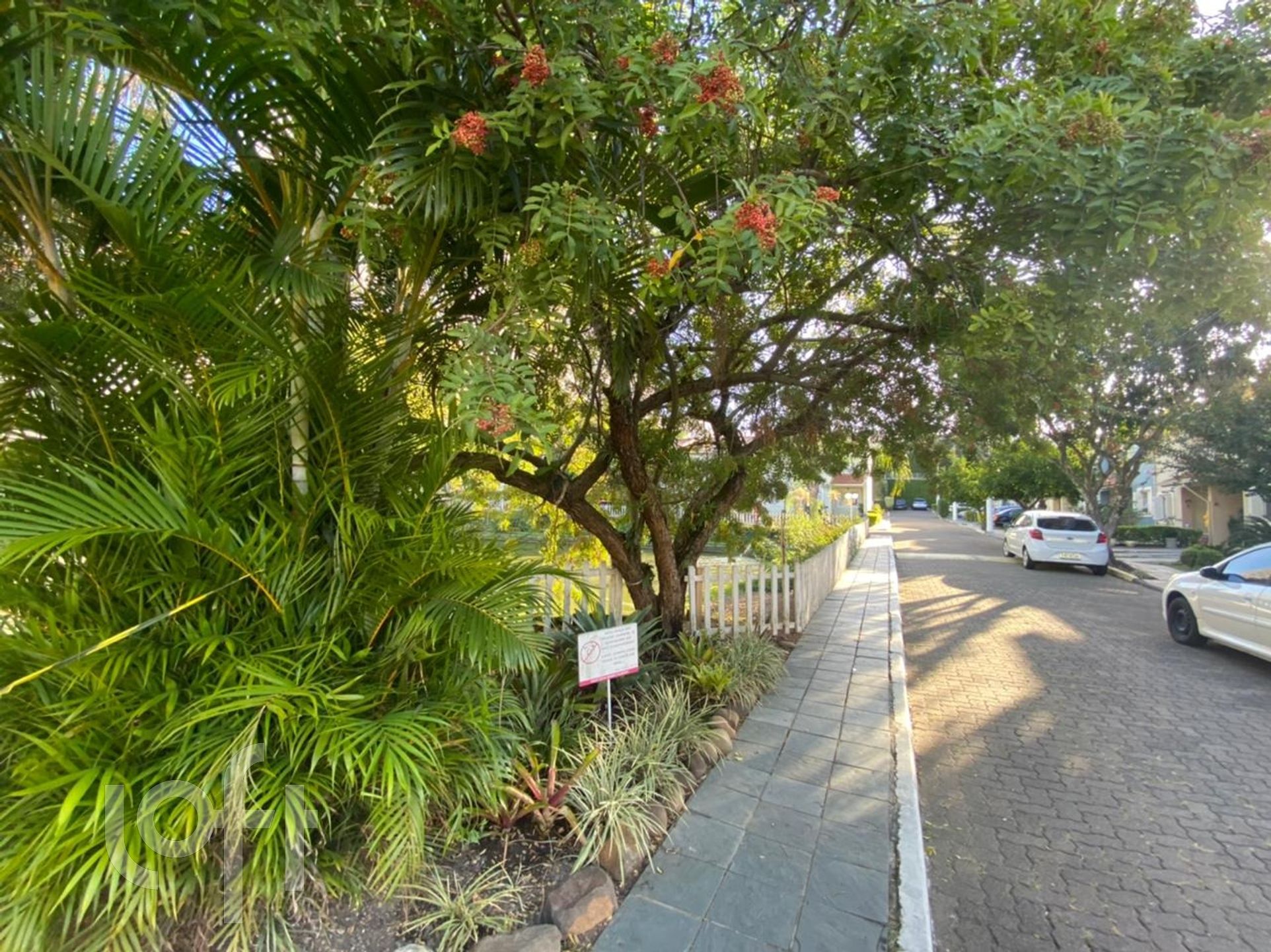 Imagem da propriedade 16