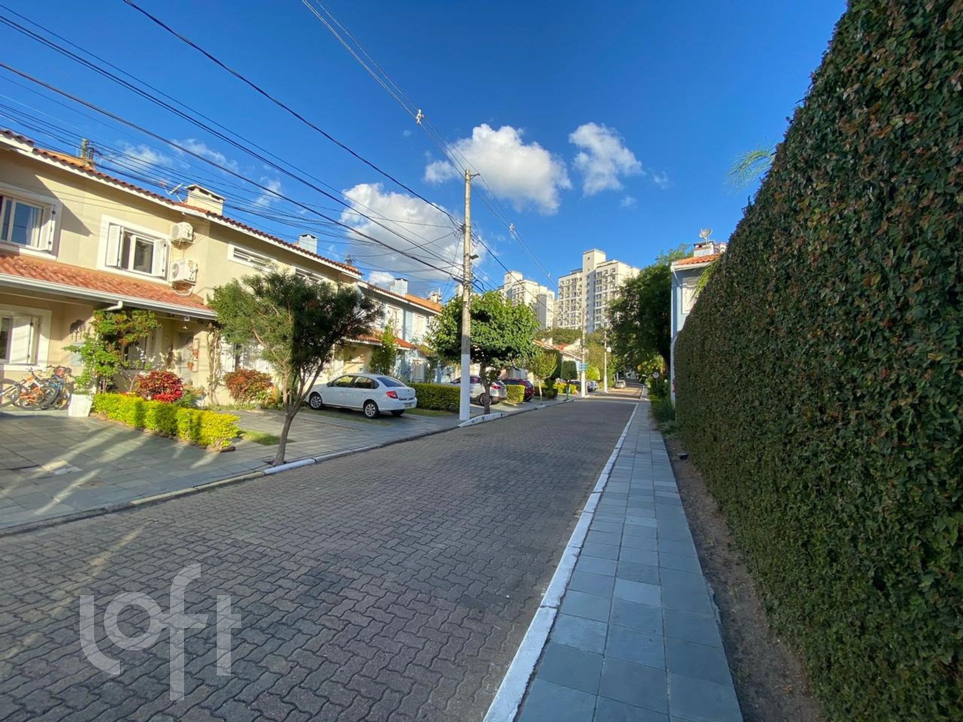 Imagem da propriedade 22