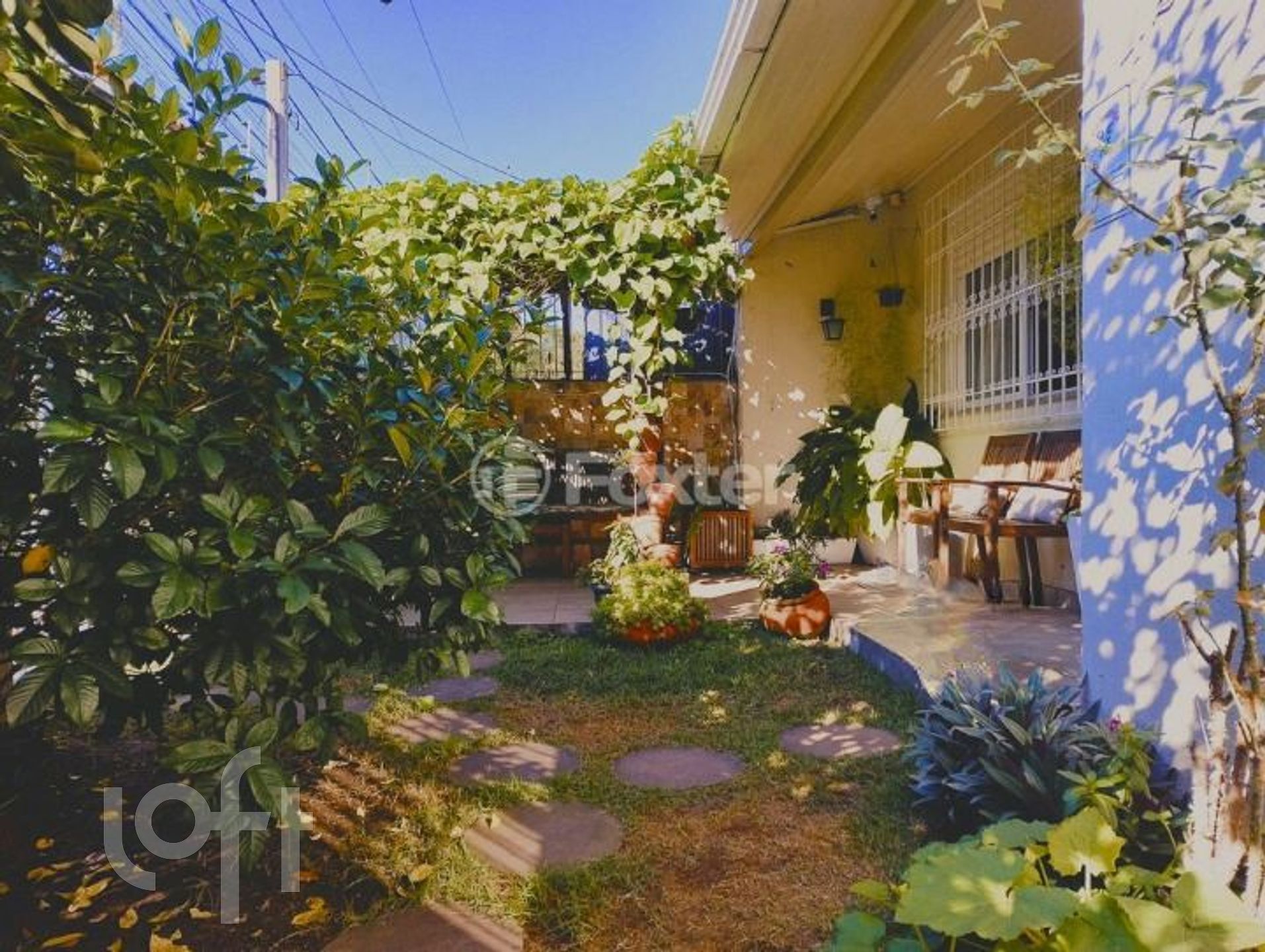 Imagem da propriedade 3