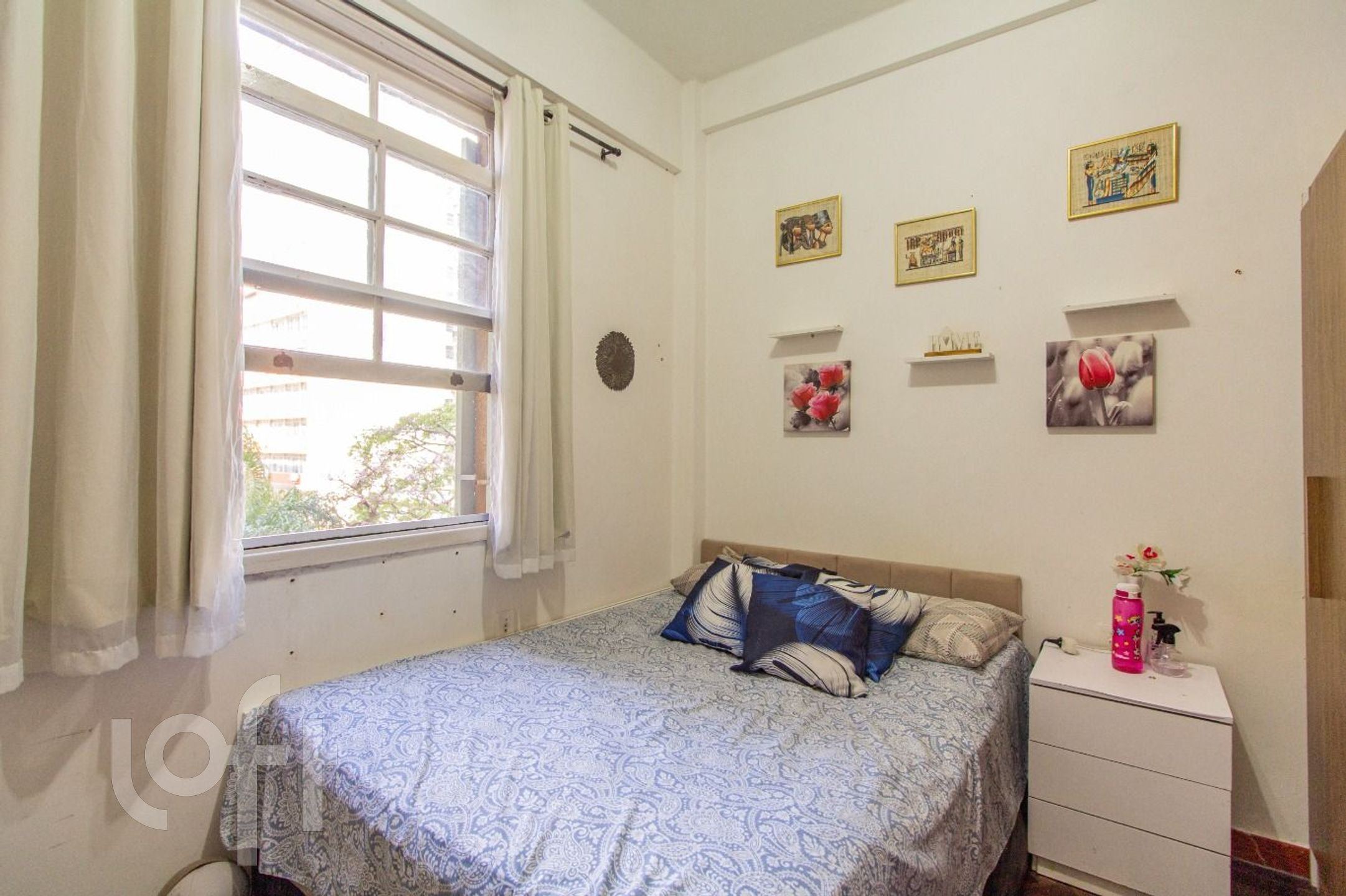 Imagem da propriedade 16