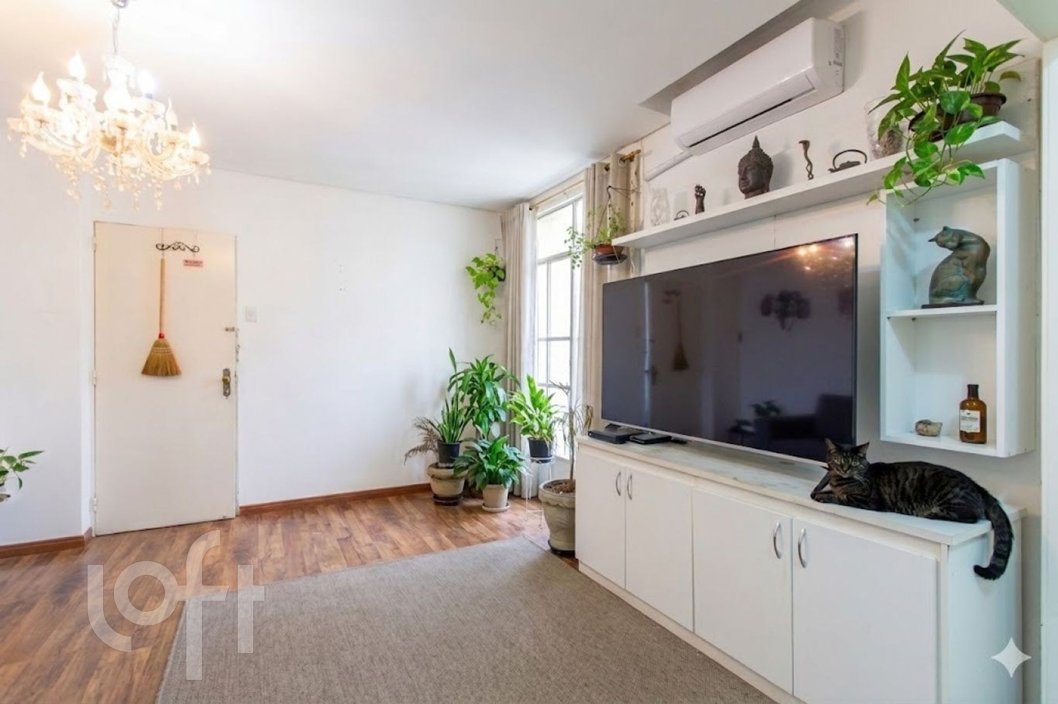 Imagem da propriedade 4