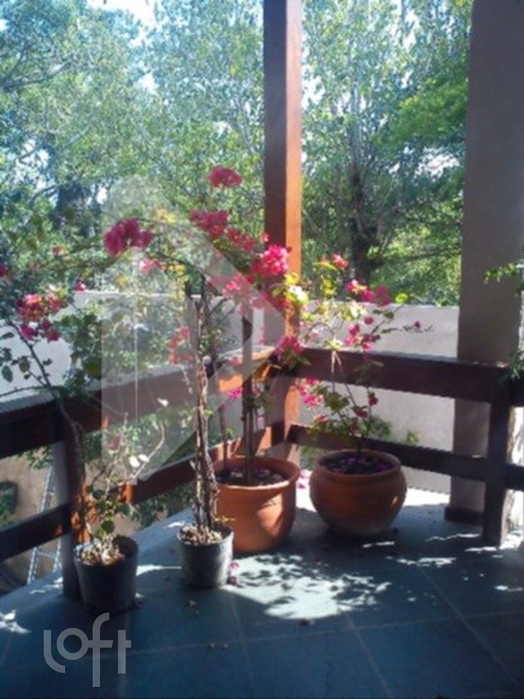 Imagem da propriedade 22