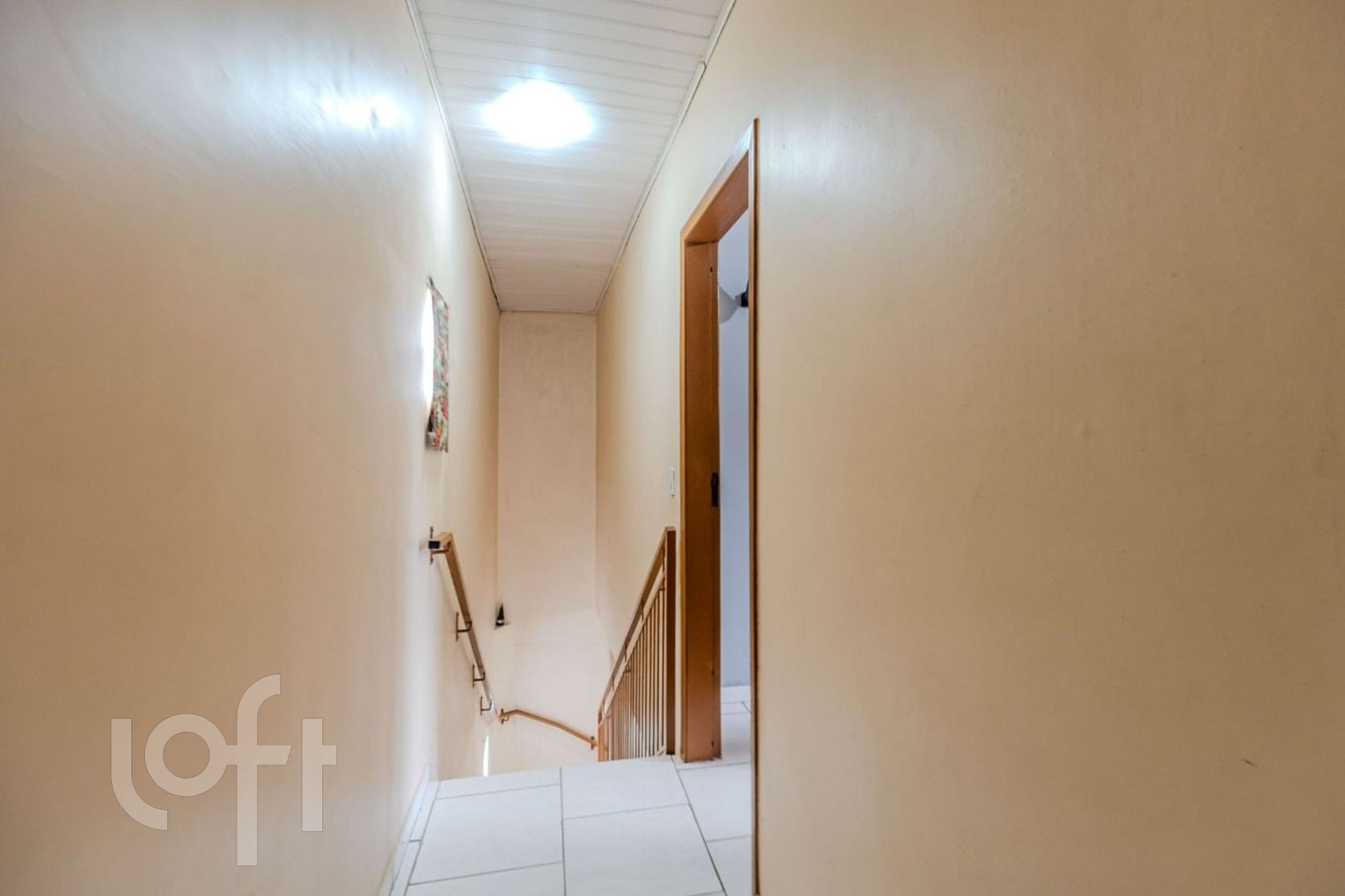 Imagem da propriedade 8