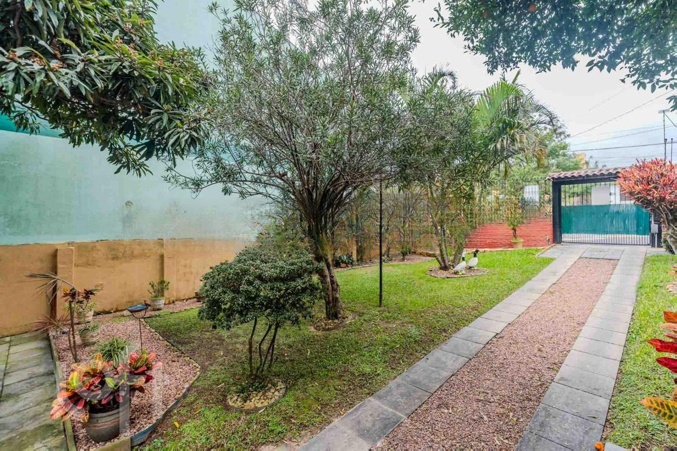 Imagem da propriedade 32