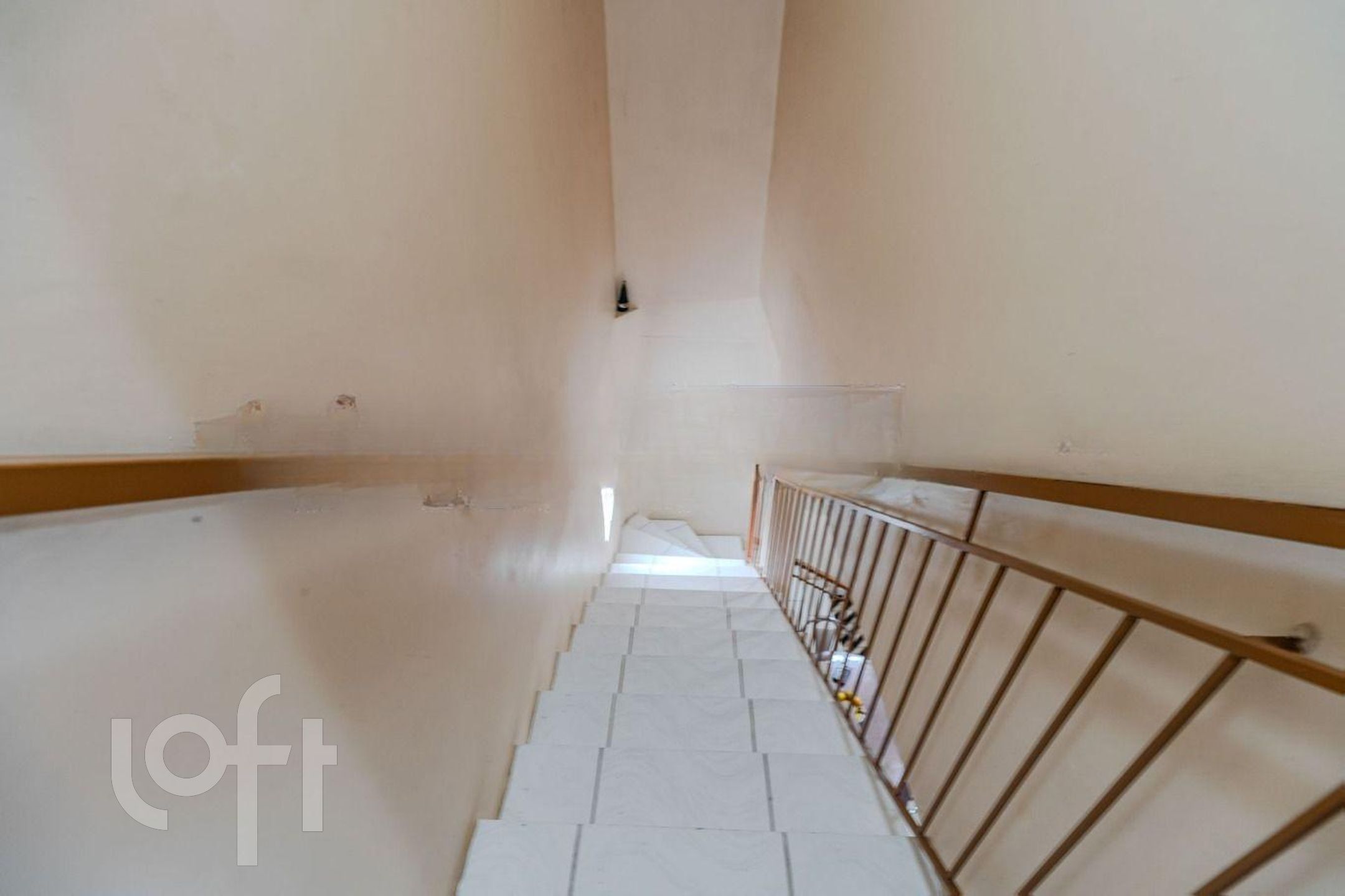 Imagem da propriedade 7