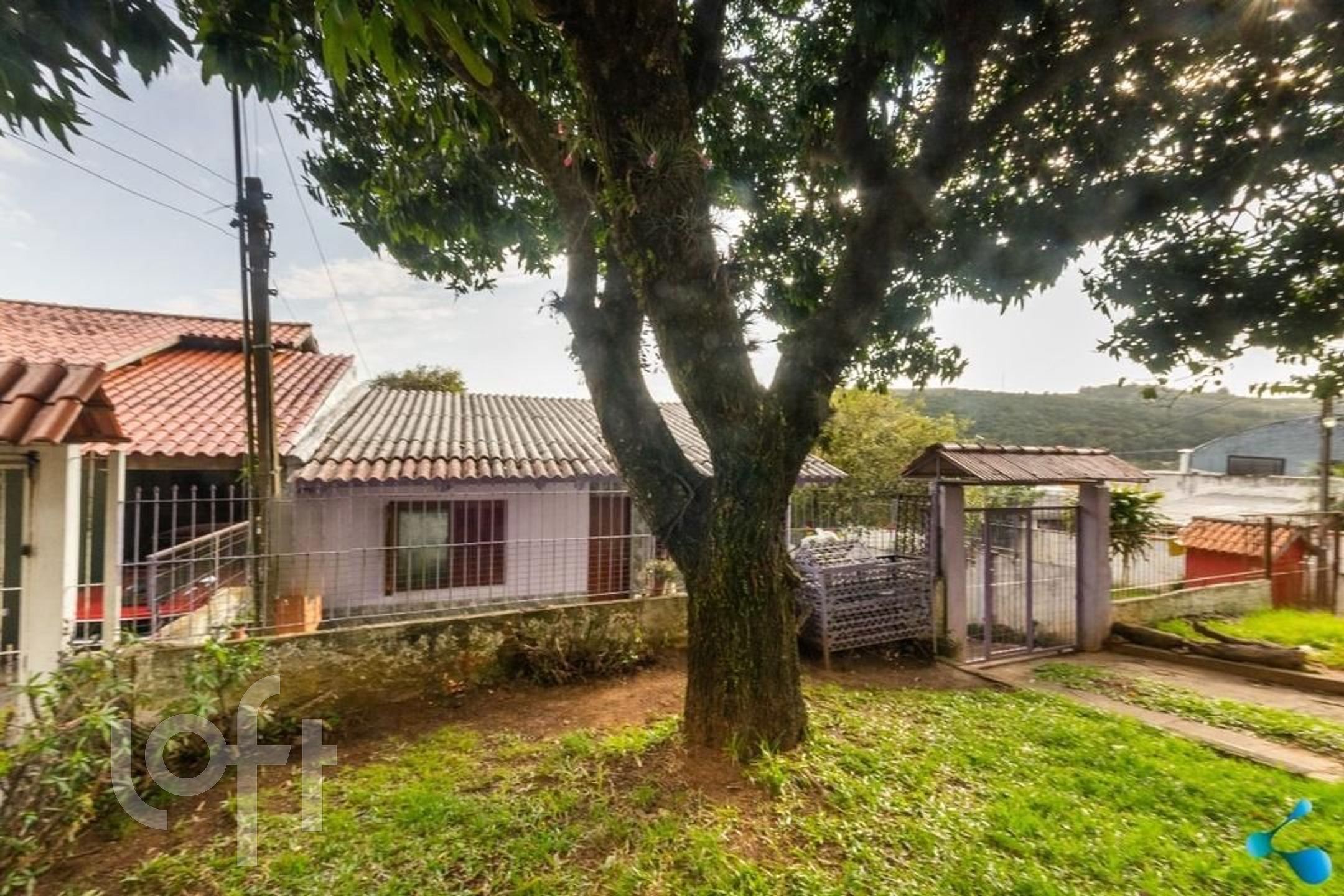 Imagem da propriedade 19