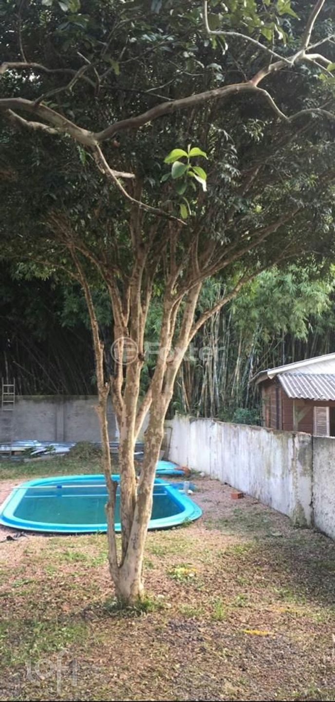 Imagem da propriedade 22