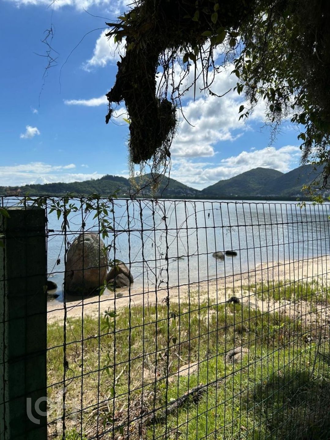 Imagem da propriedade 54