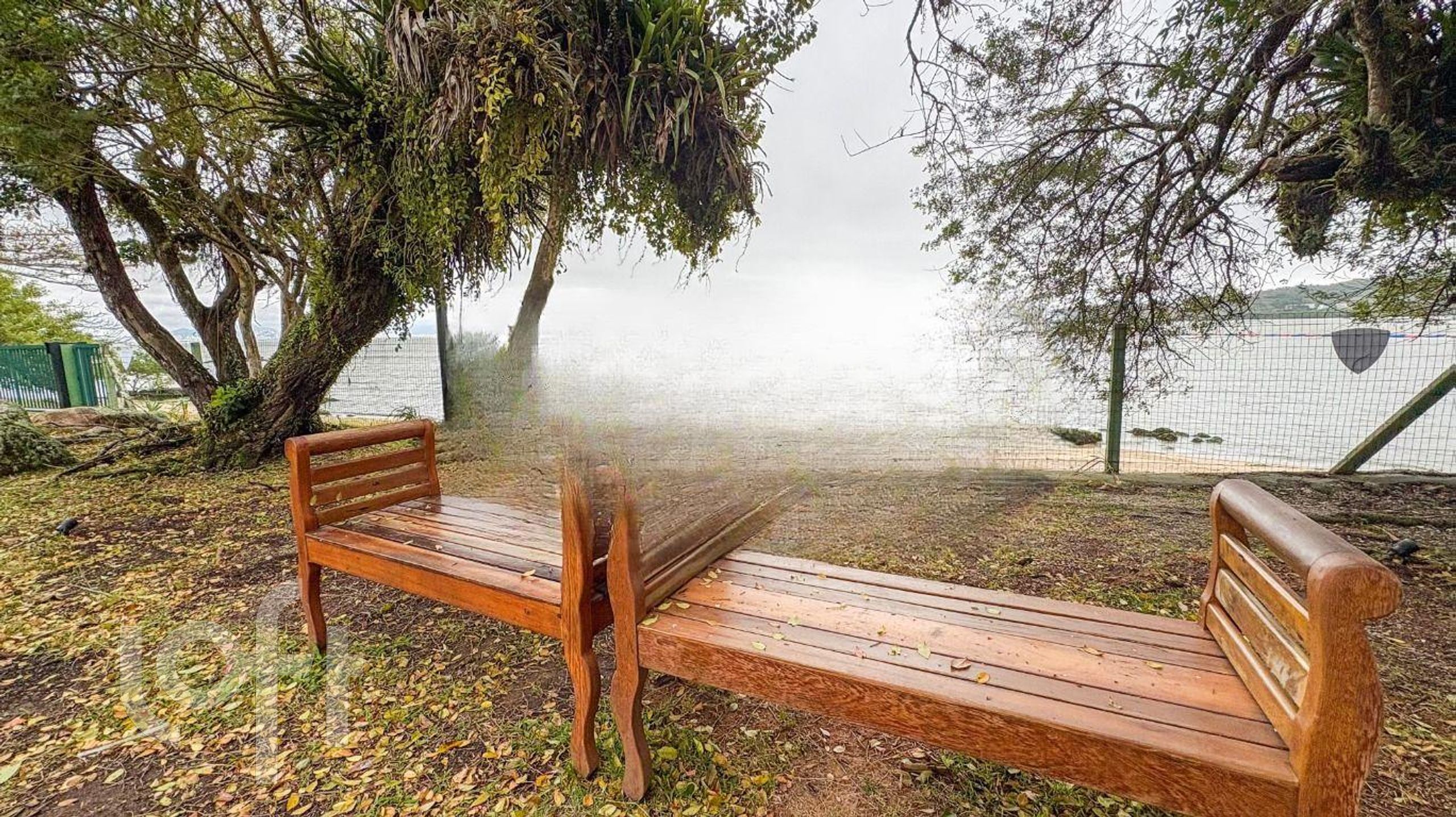 Imagem da propriedade 63