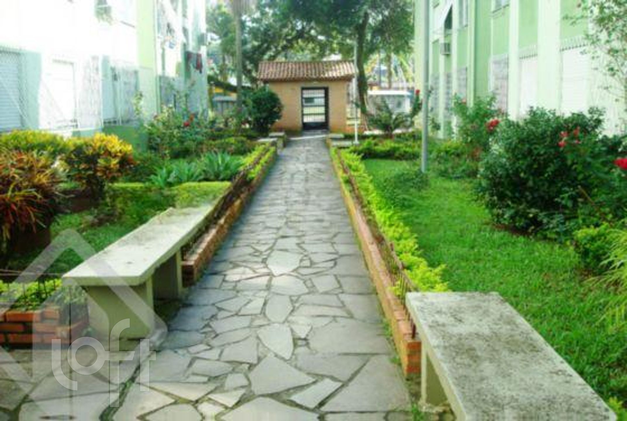 Imagem da propriedade 9