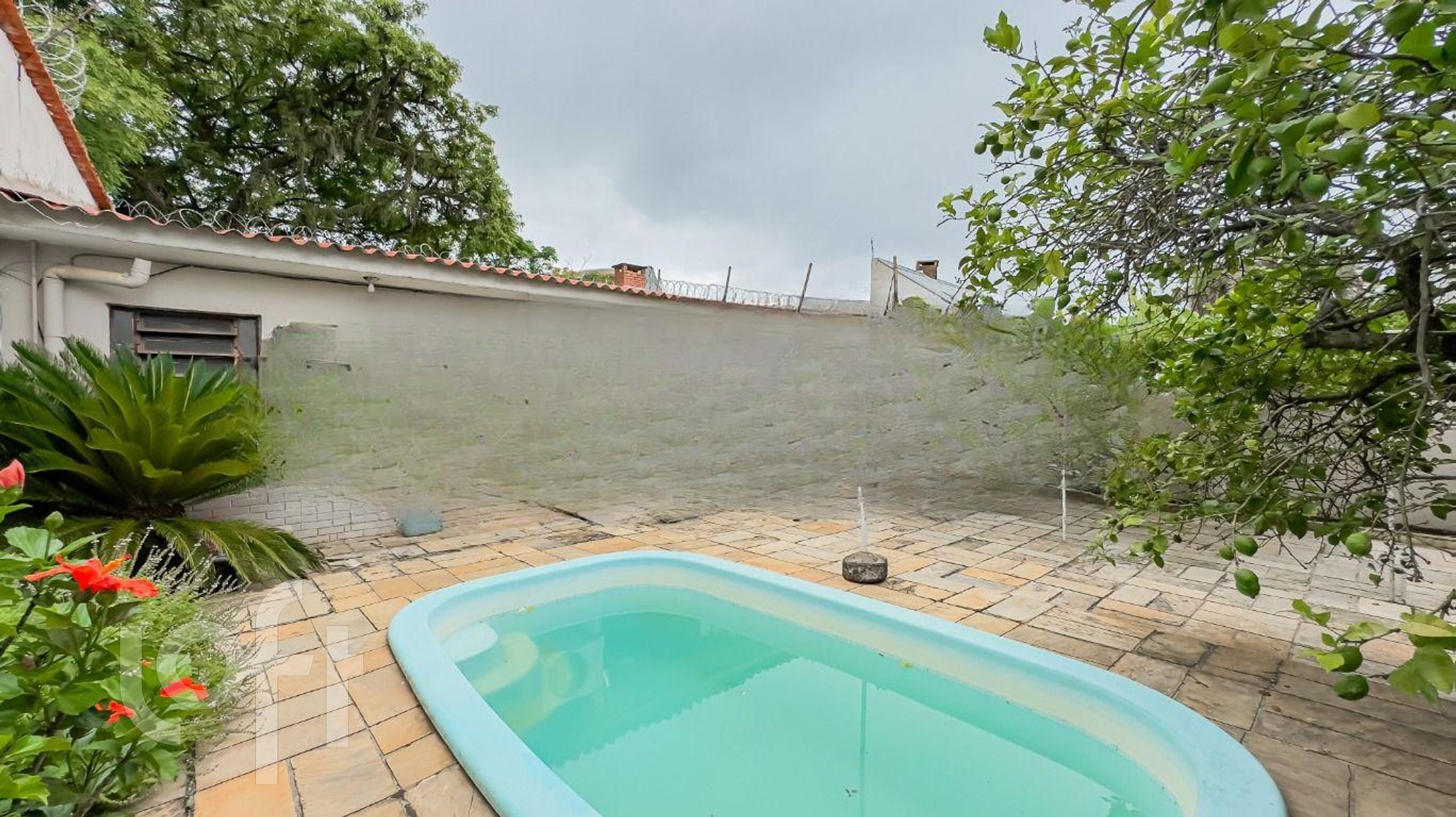 Imagem da propriedade 35