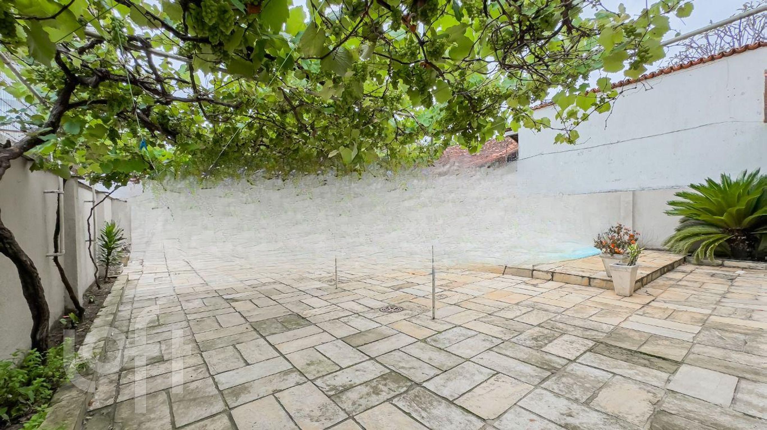 Imagem da propriedade 39