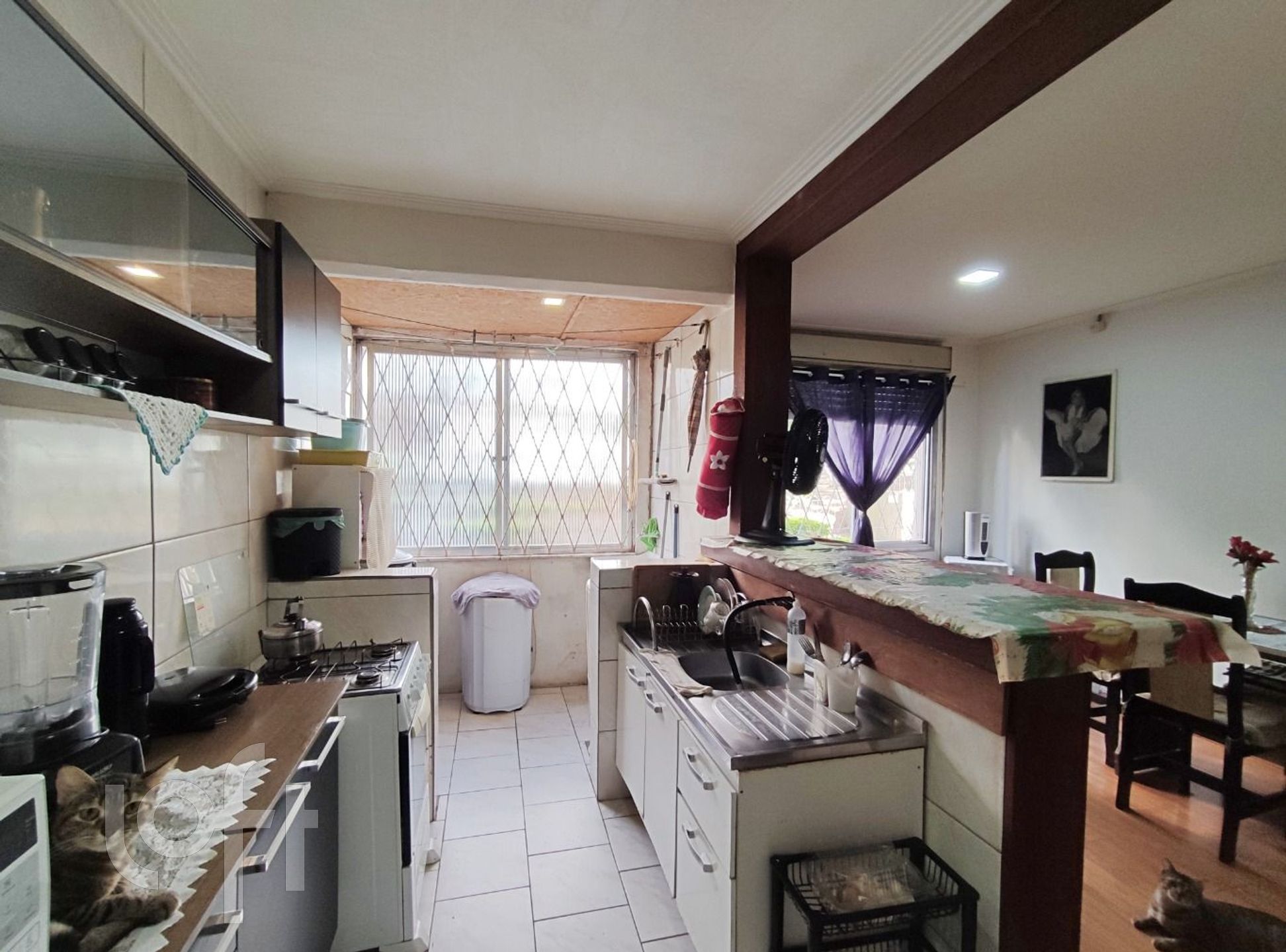 Imagem da propriedade 5