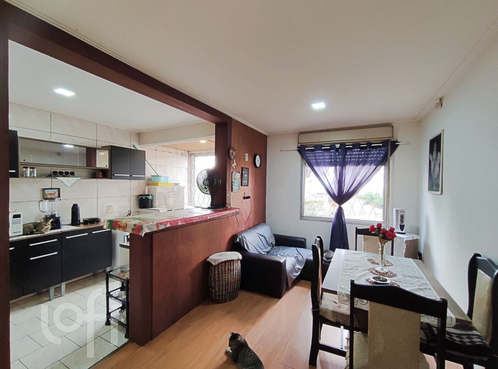 Imagem da propriedade 3